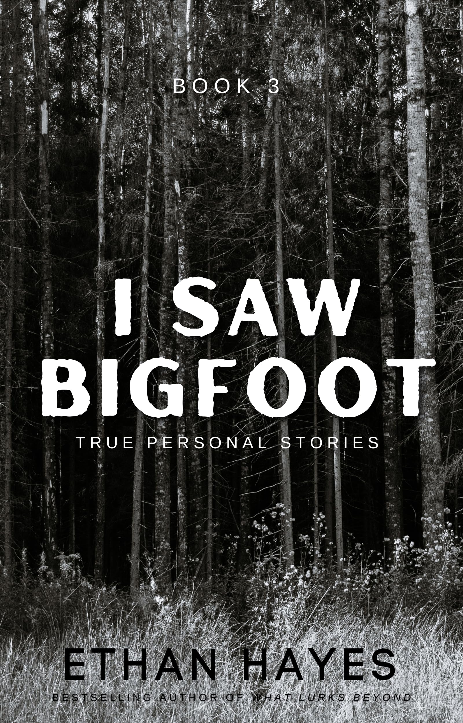 I Saw Bigfoot: Volume 3
