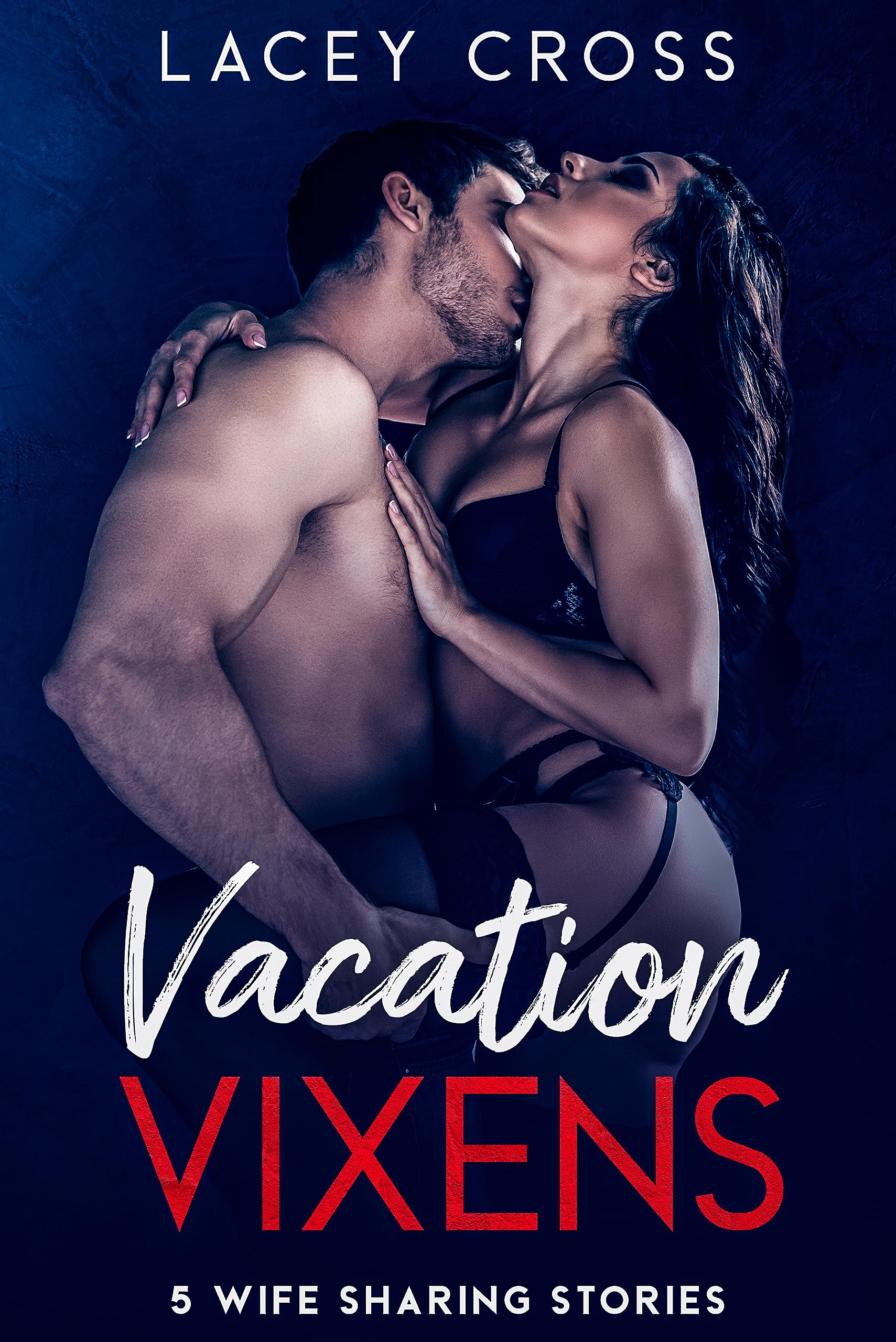 Vacation Vixens book cover