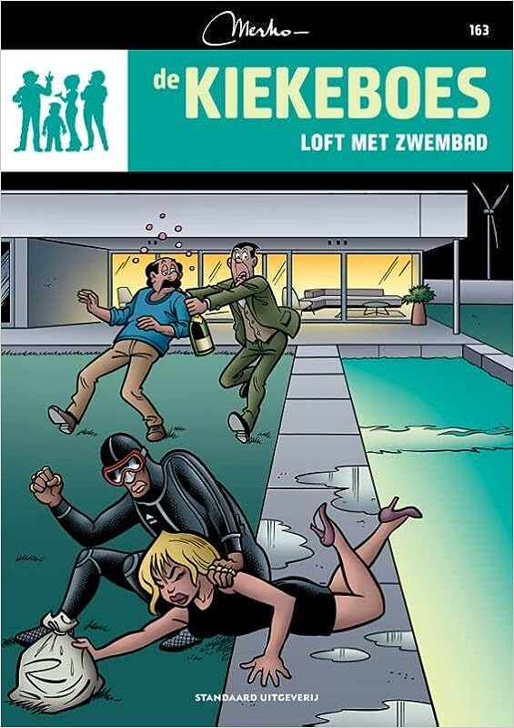 Loft met zwembad book cover
