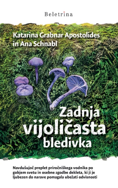Zadnja vijoličasta bledivka
