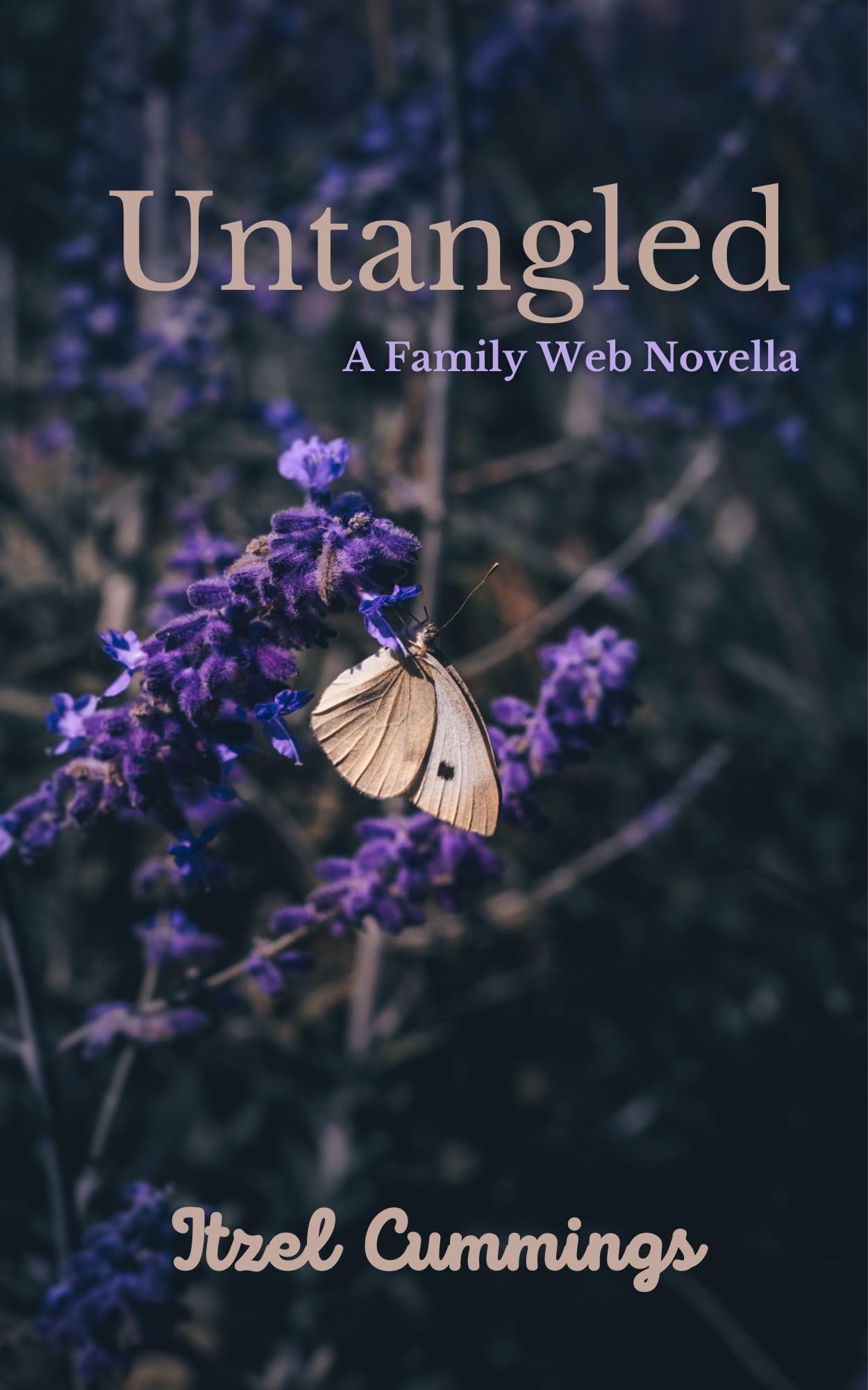 Untangled: A Family Web Novella