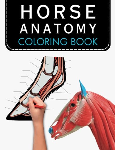Horse Anatomy Coloring Book Horse Anatomy workbook Self Assessment Gift
