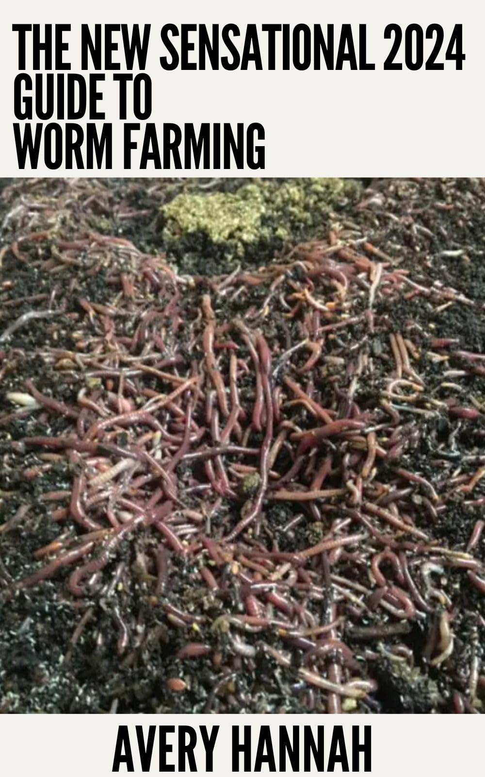 The New Sensational 2024 Guide To Worm Farming Getting Started With