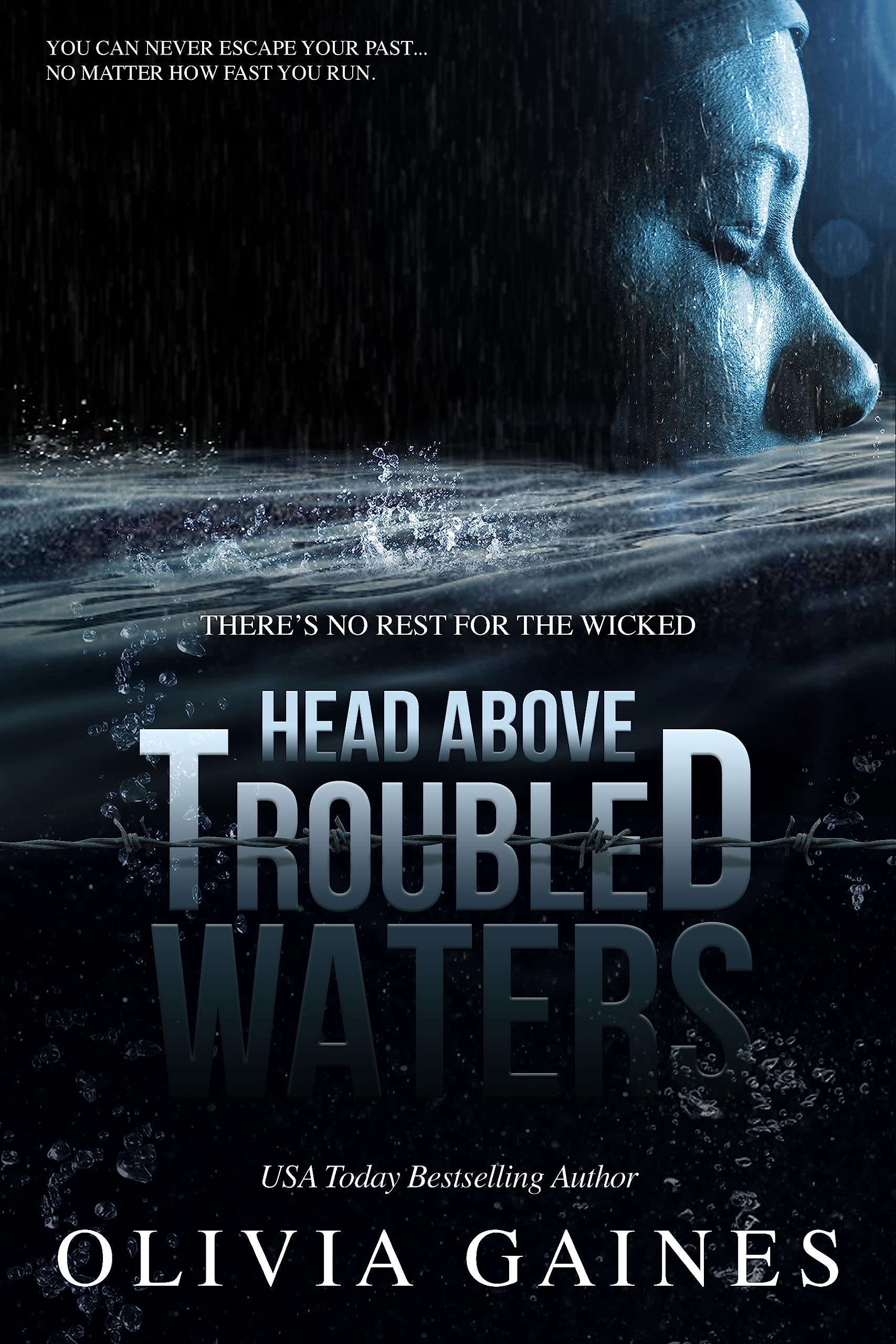 Head Above Troubled Waters book cover