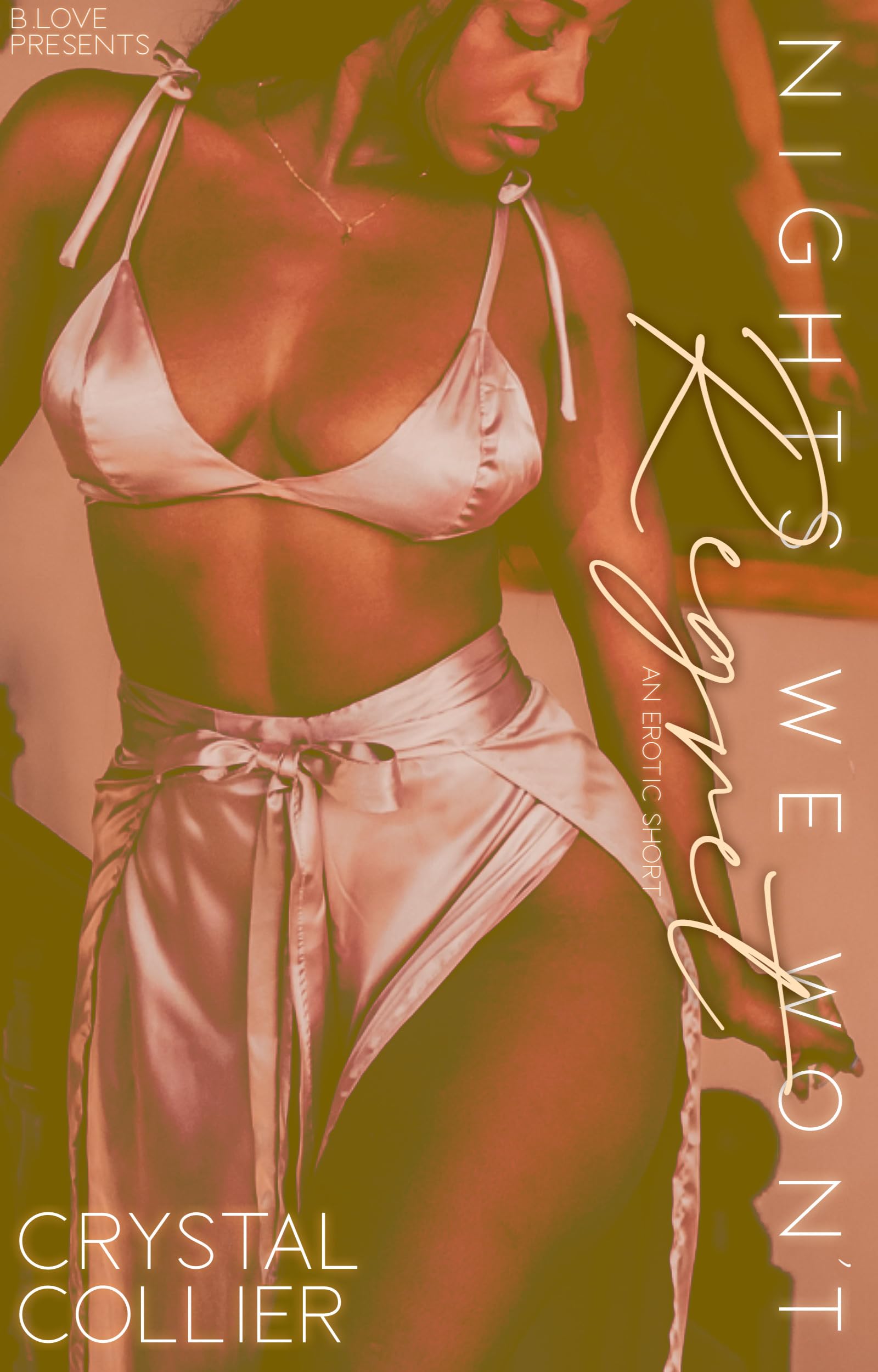 Nights We Won't Regret book cover