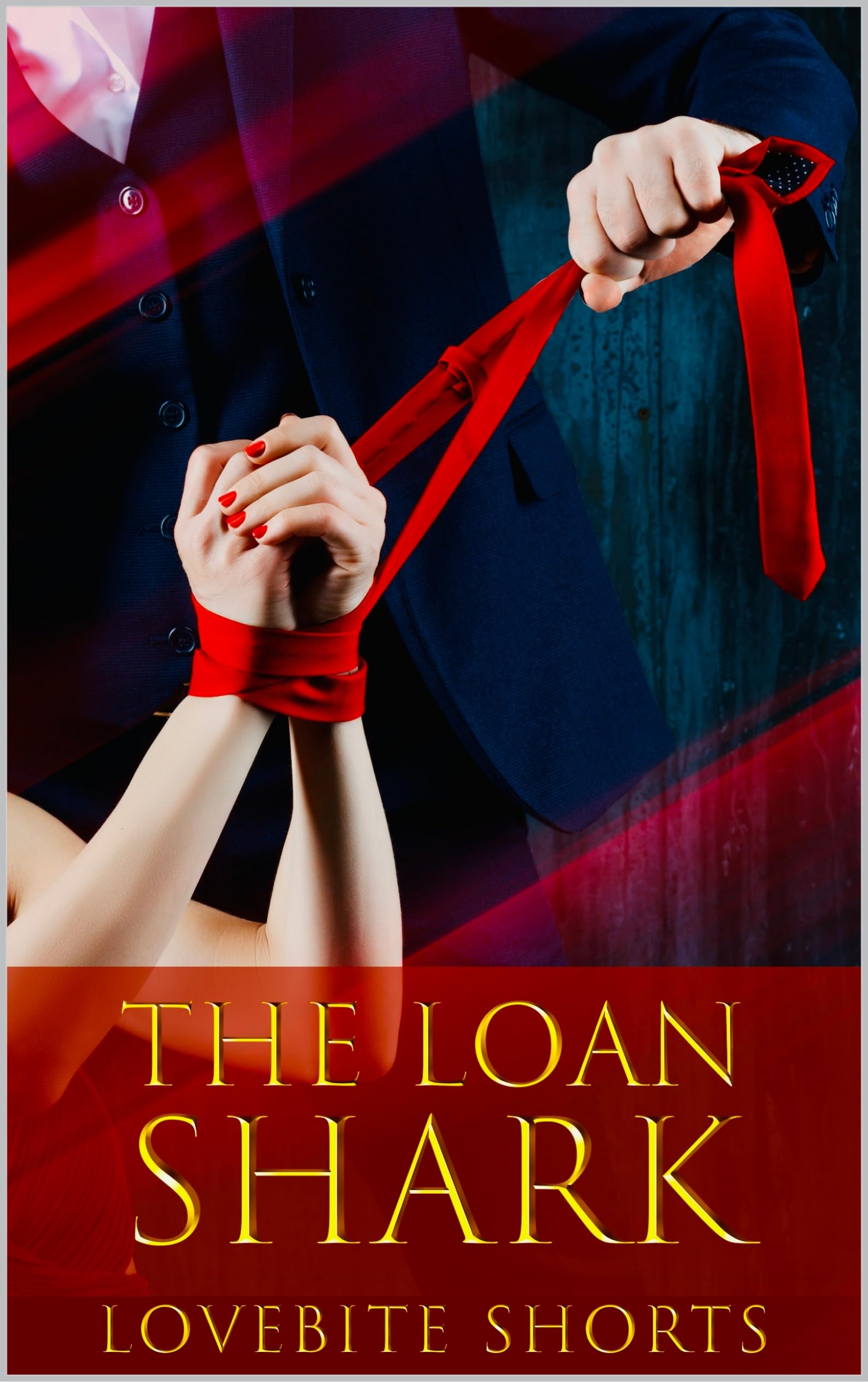 The Loan Shark book cover