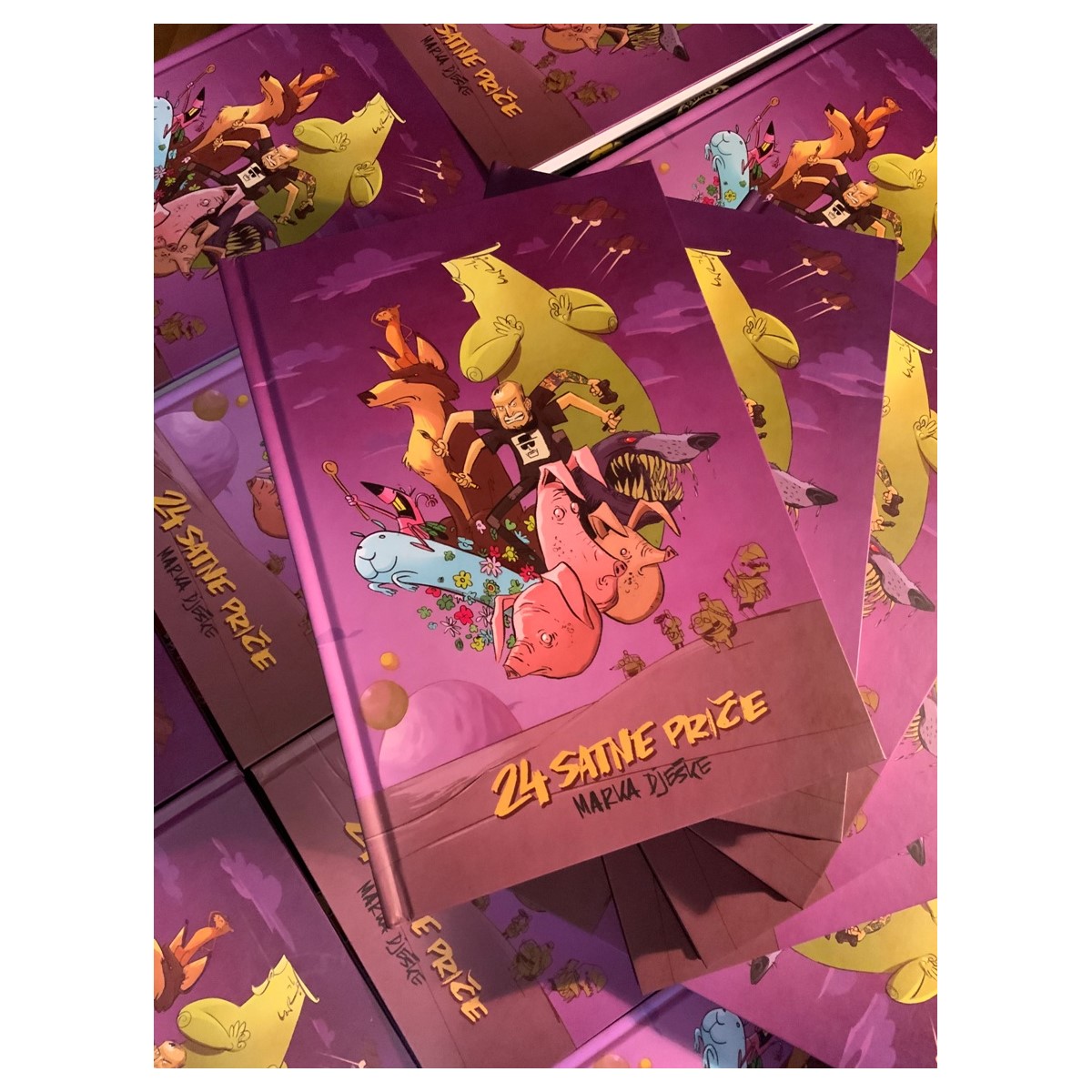 24 satne priče book cover