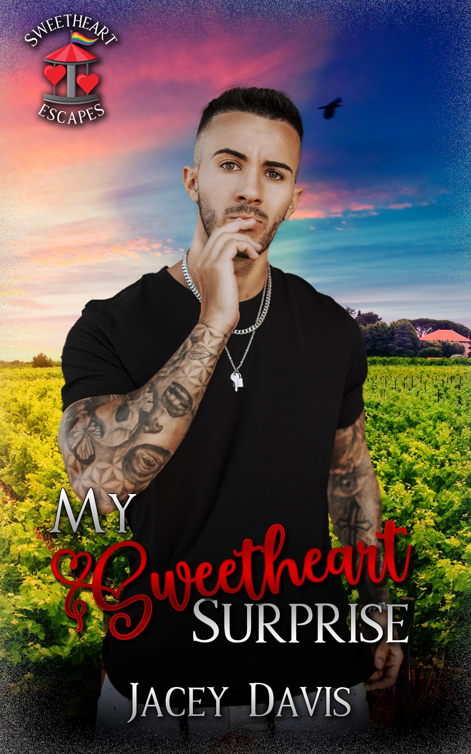 My Sweetheart Surprise
