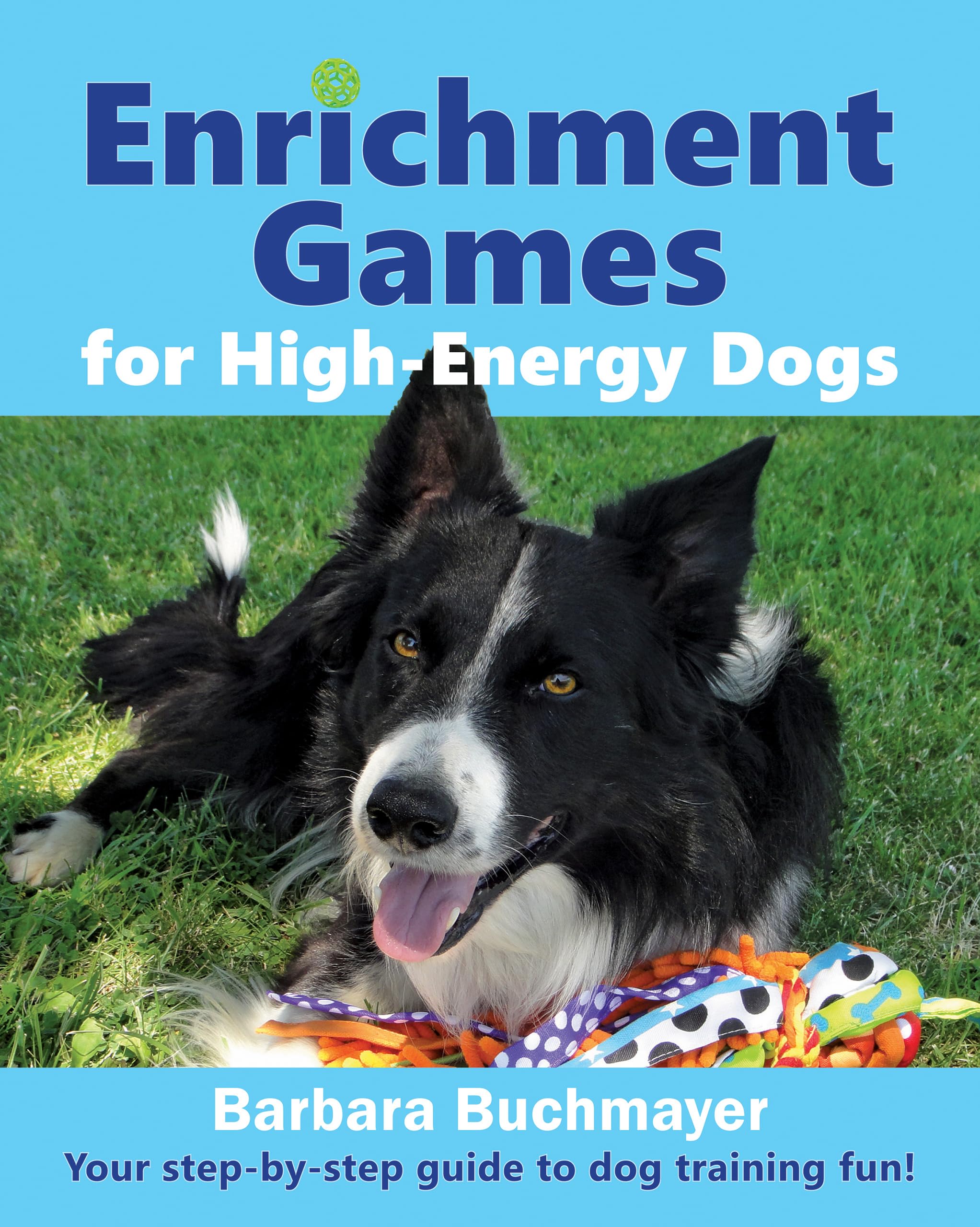 Enrichment Games for HighEnergy Dogs Your stepbystep guide to dog