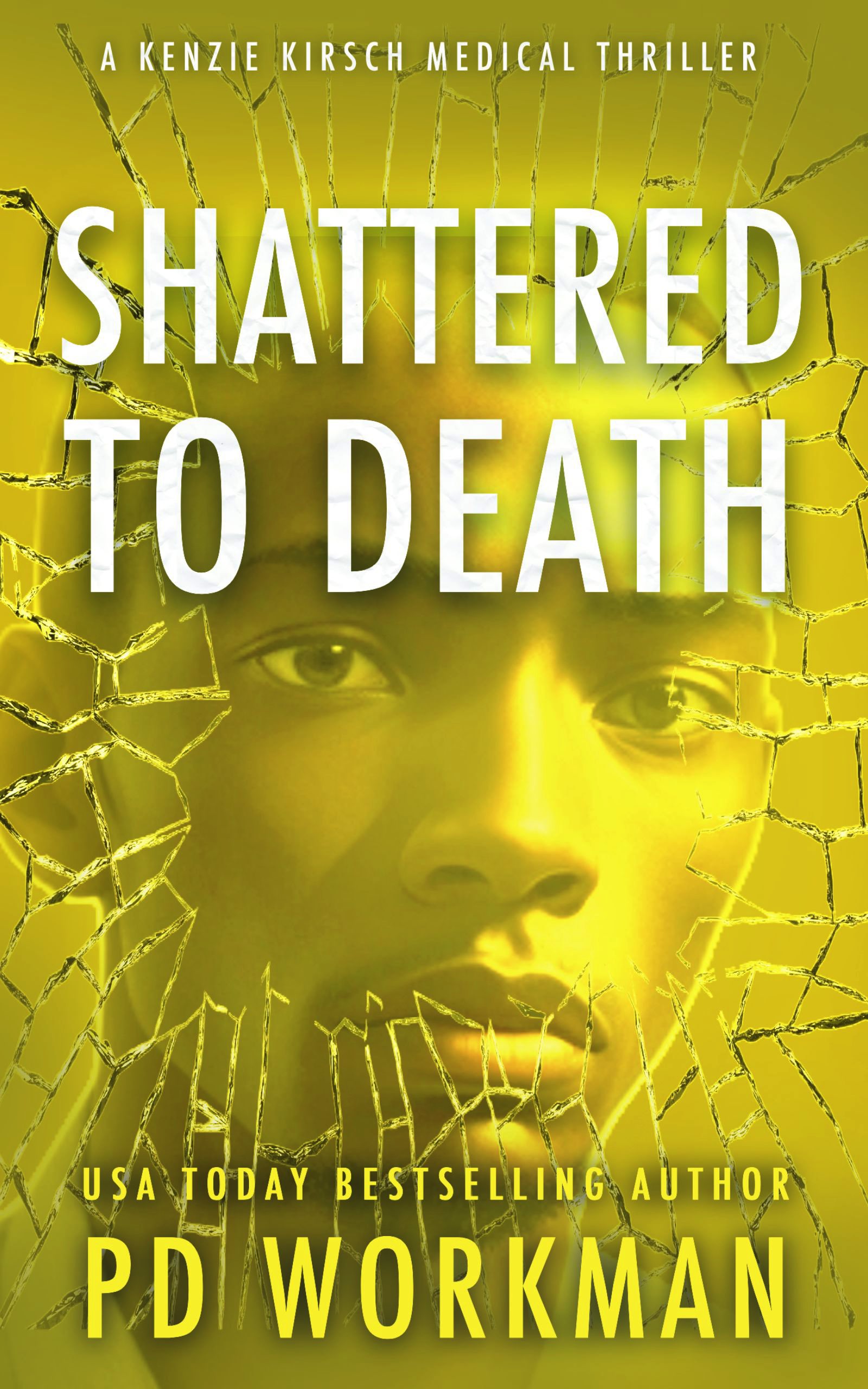 Shattered to Death book cover