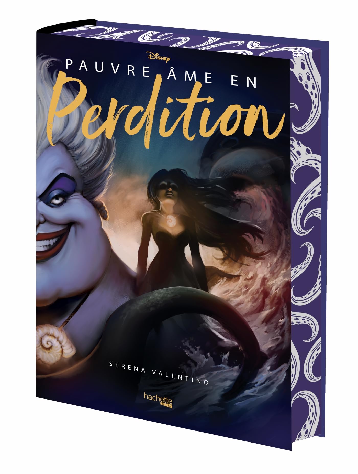 Pauvre âme en perdition book cover
