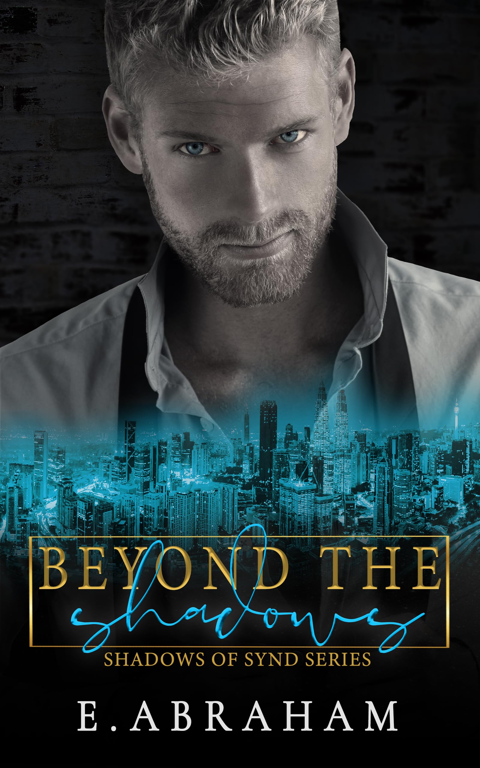 Beyond the Shadows book cover