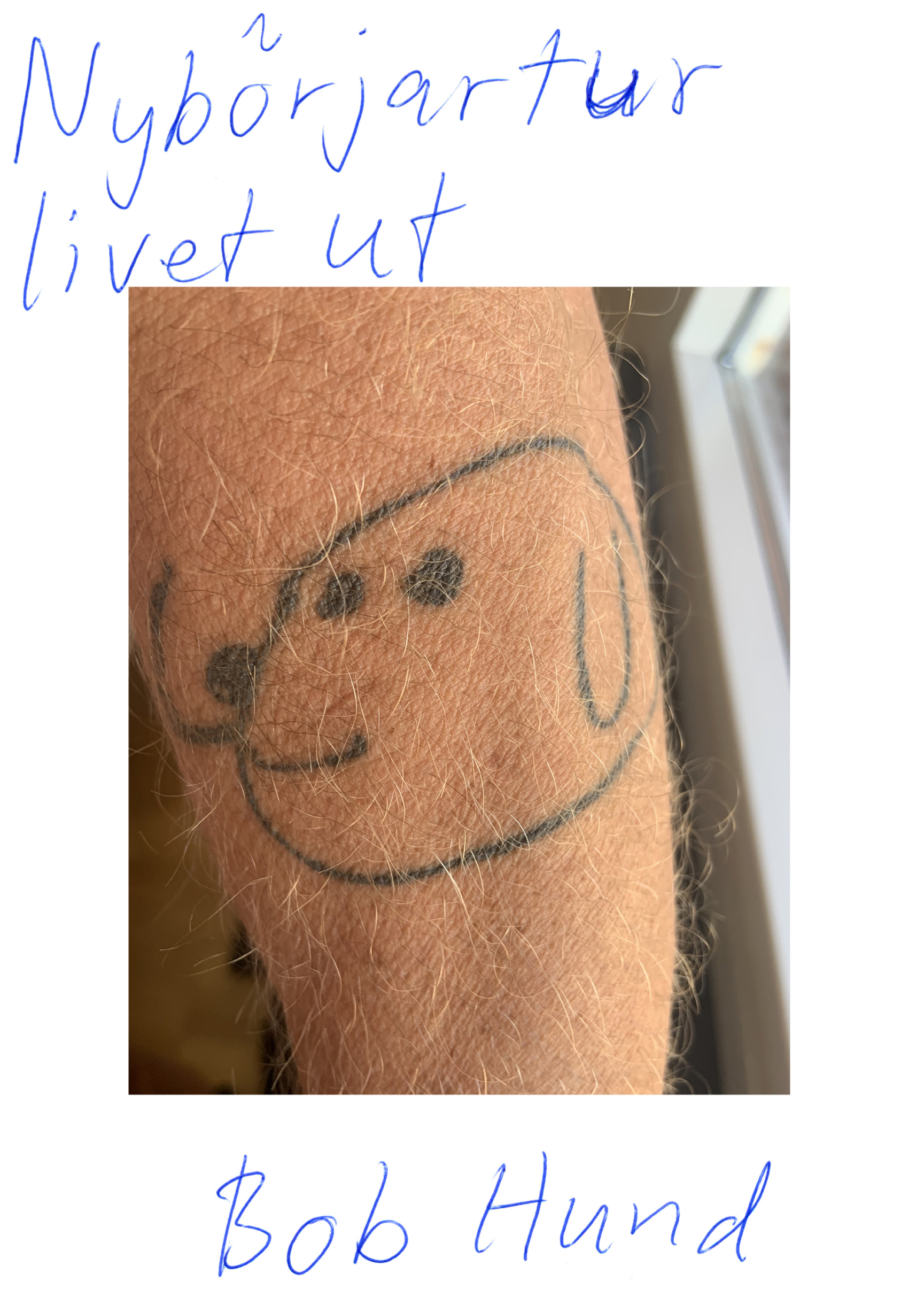 Bob Hund : Nybörjartur livet ut