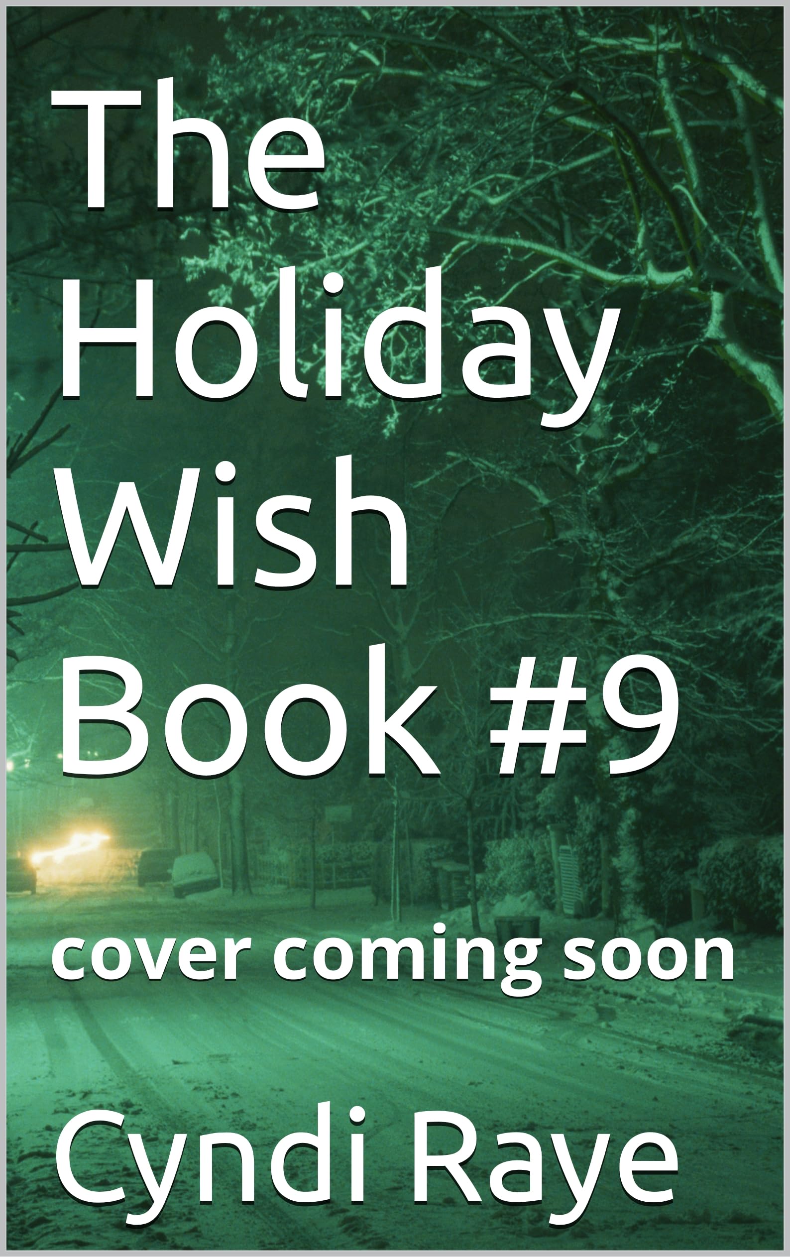 The Holiday Wish Book #9