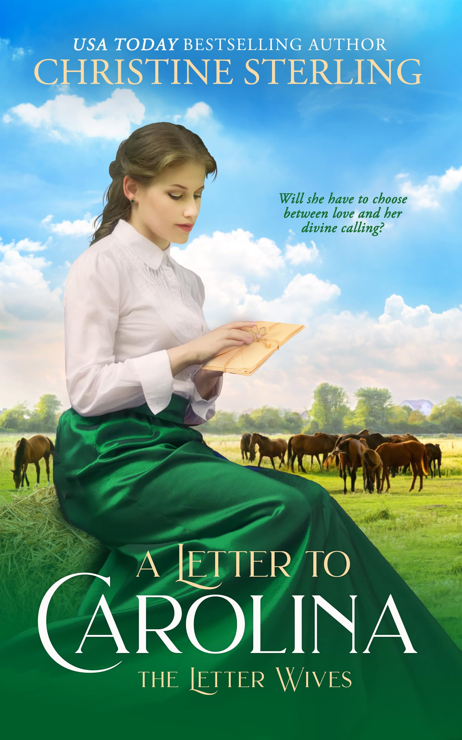 A Letter to Carolina book cover