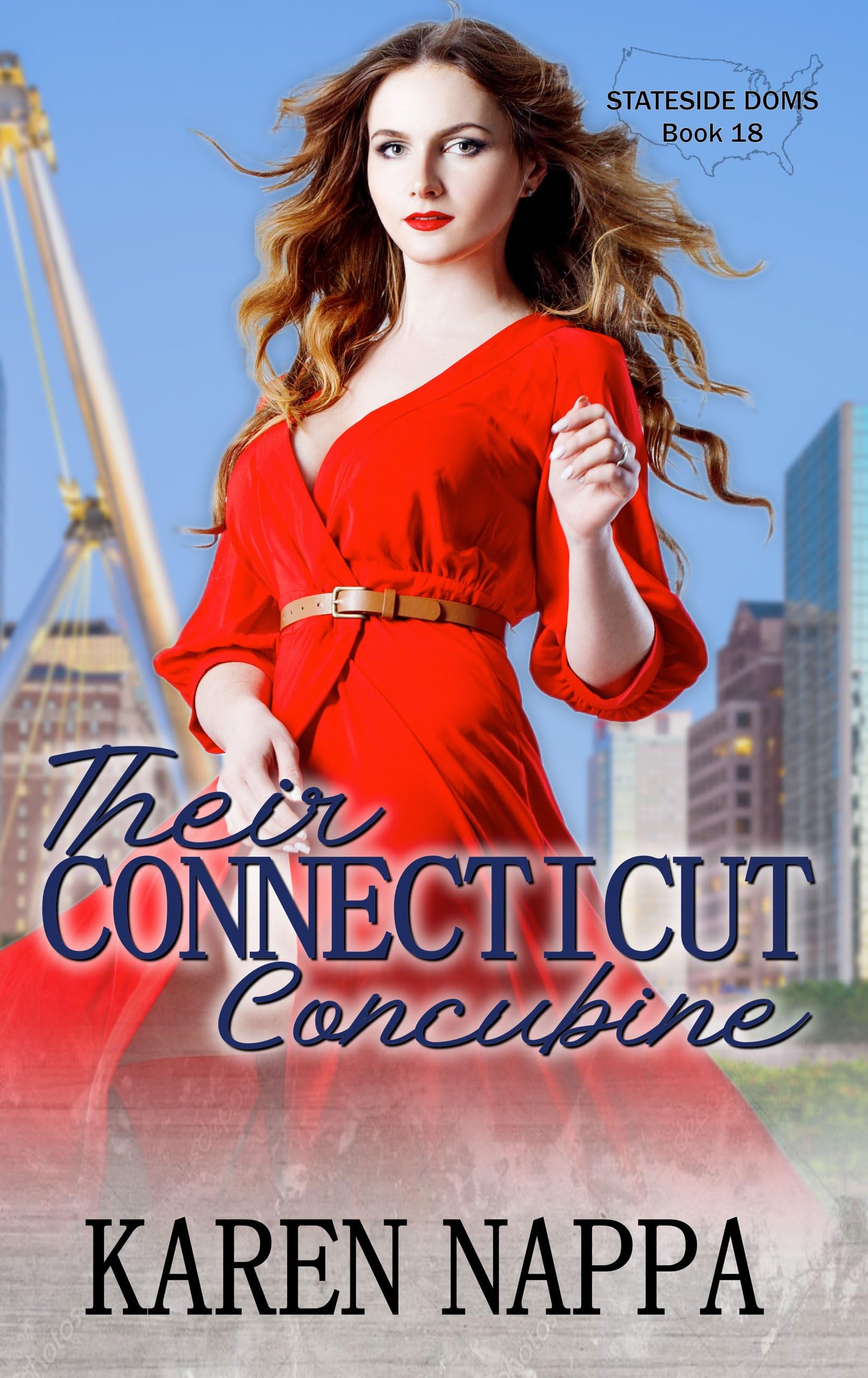 Their Connecticut Concubine book cover