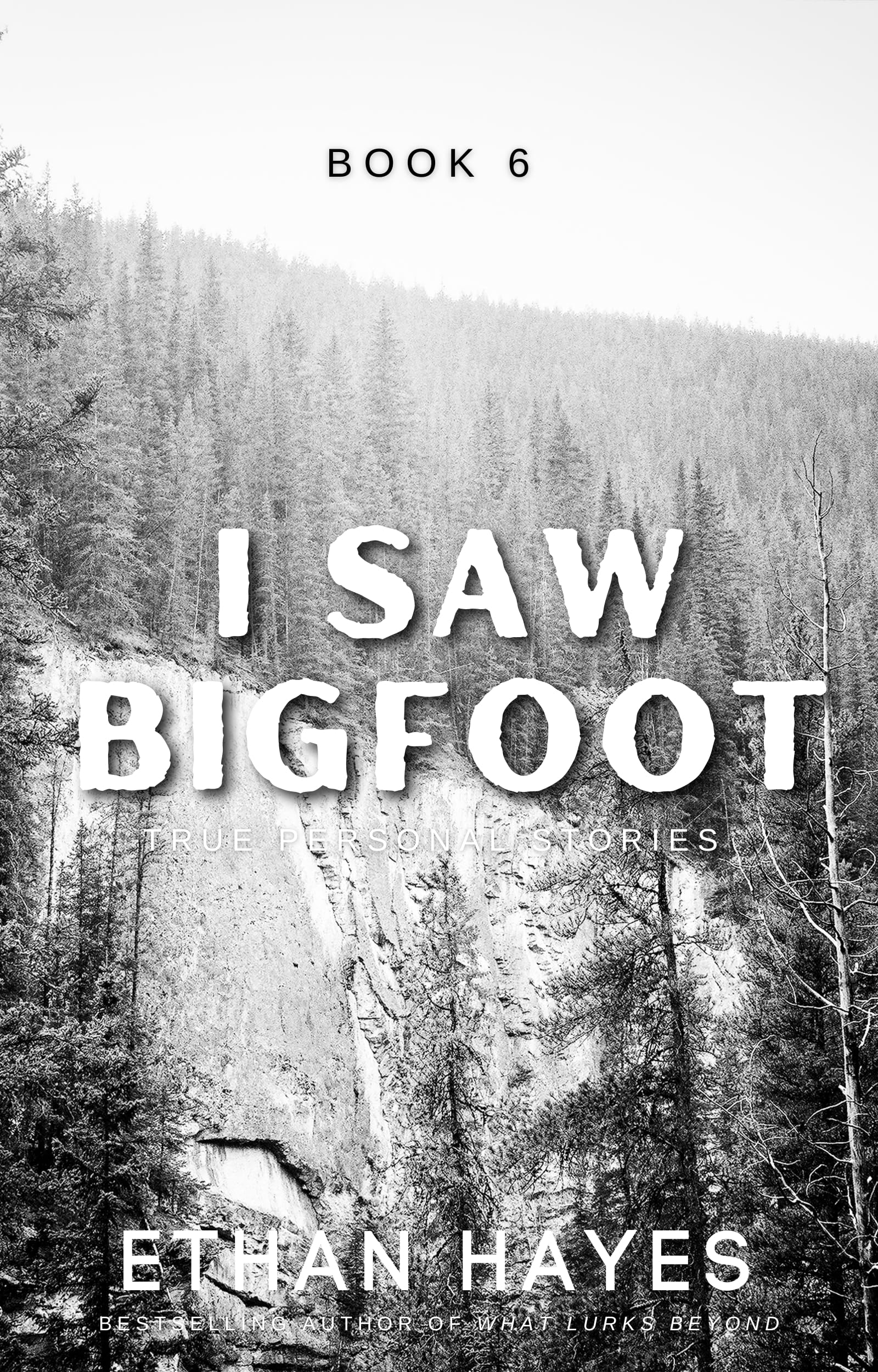 I Saw Bigfoot: Book 6