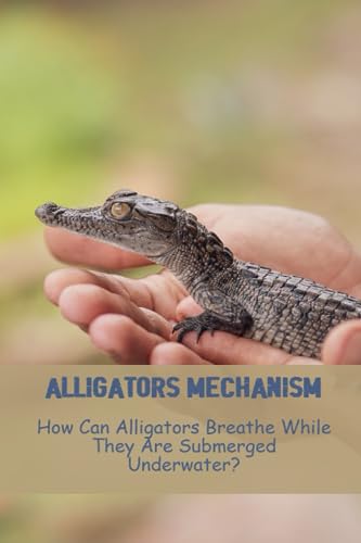 Alligators Mechanism: How Can Alligators Breathe While They Are