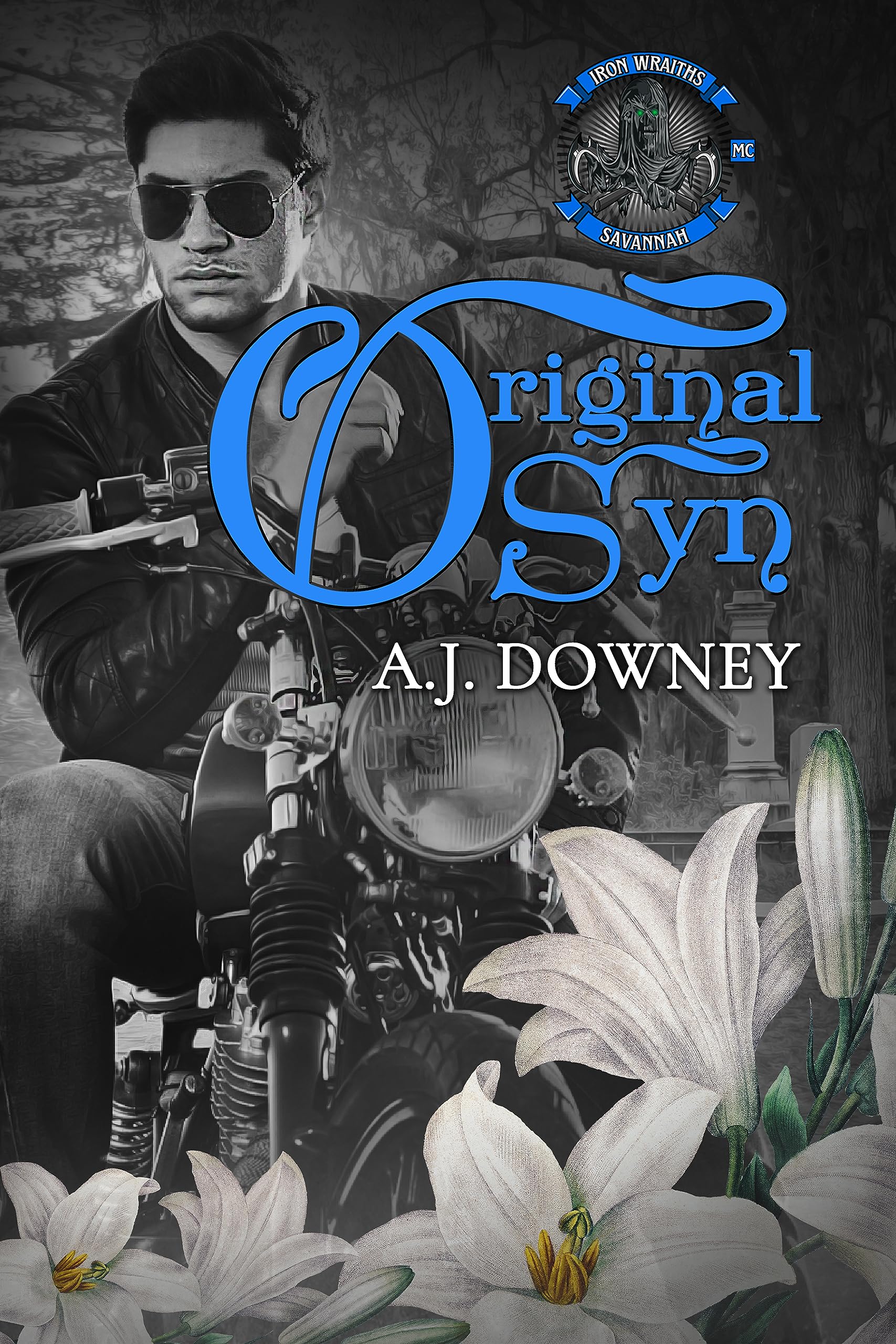 Original Syn book cover