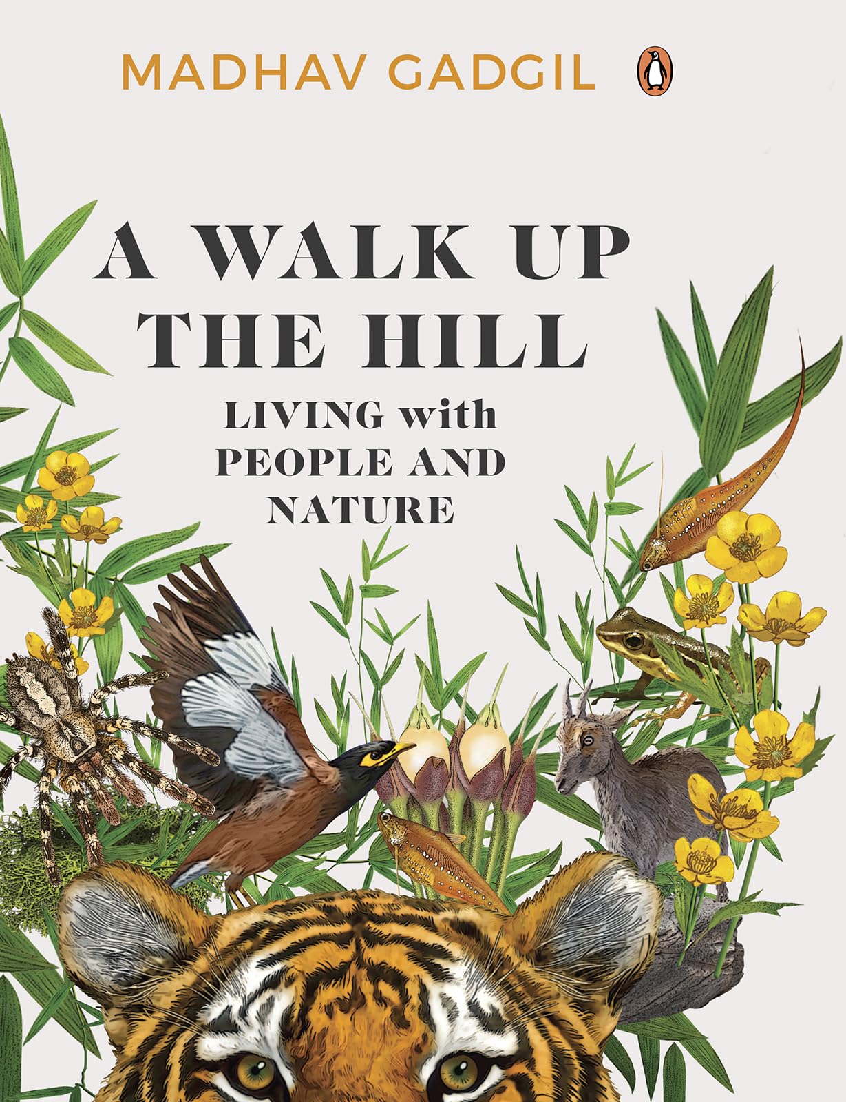 A Walk Up The Hill: Living with People and Nature