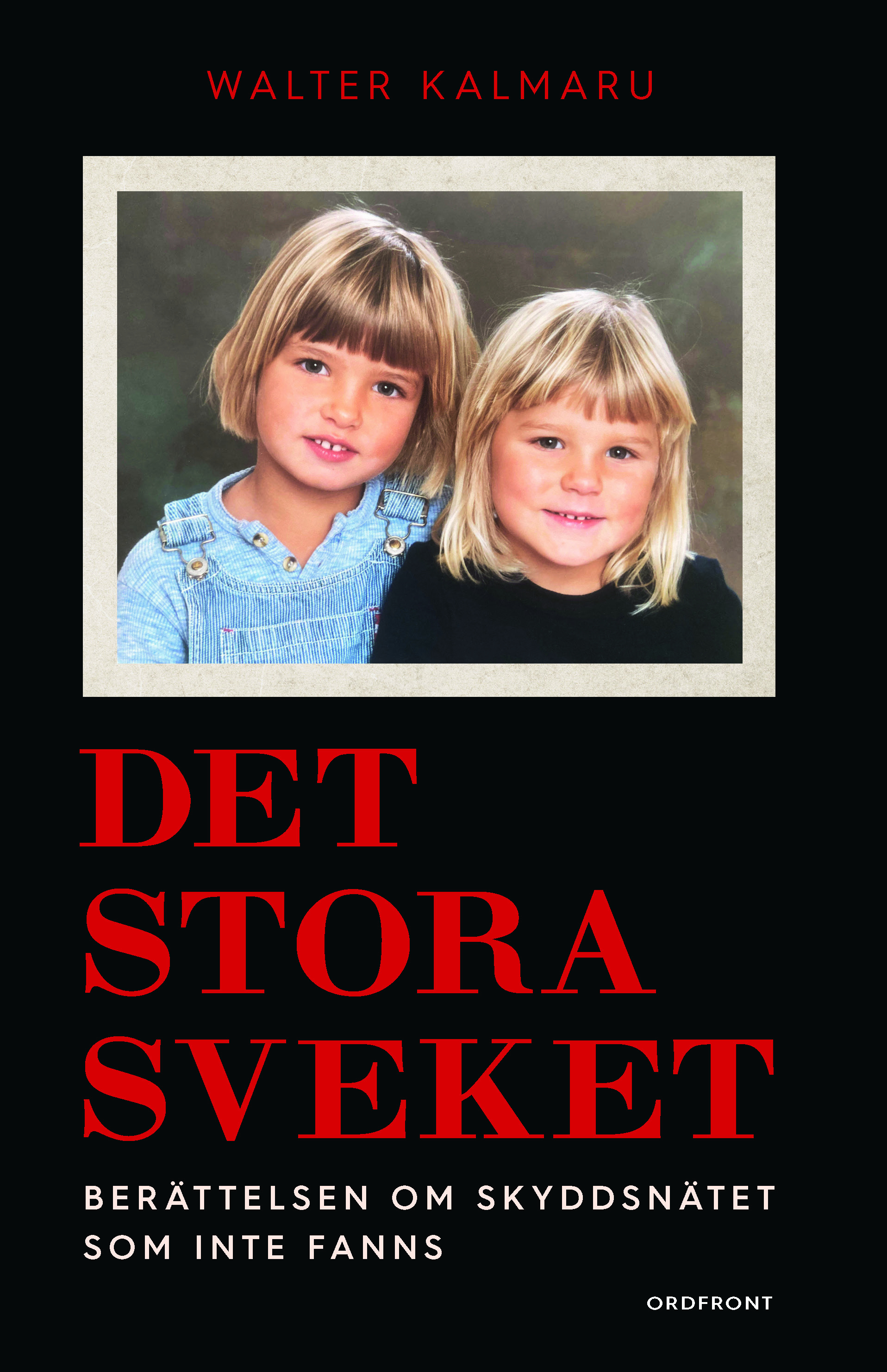 Det stora sveket : berättelsen om skyddsnätet som inte fanns