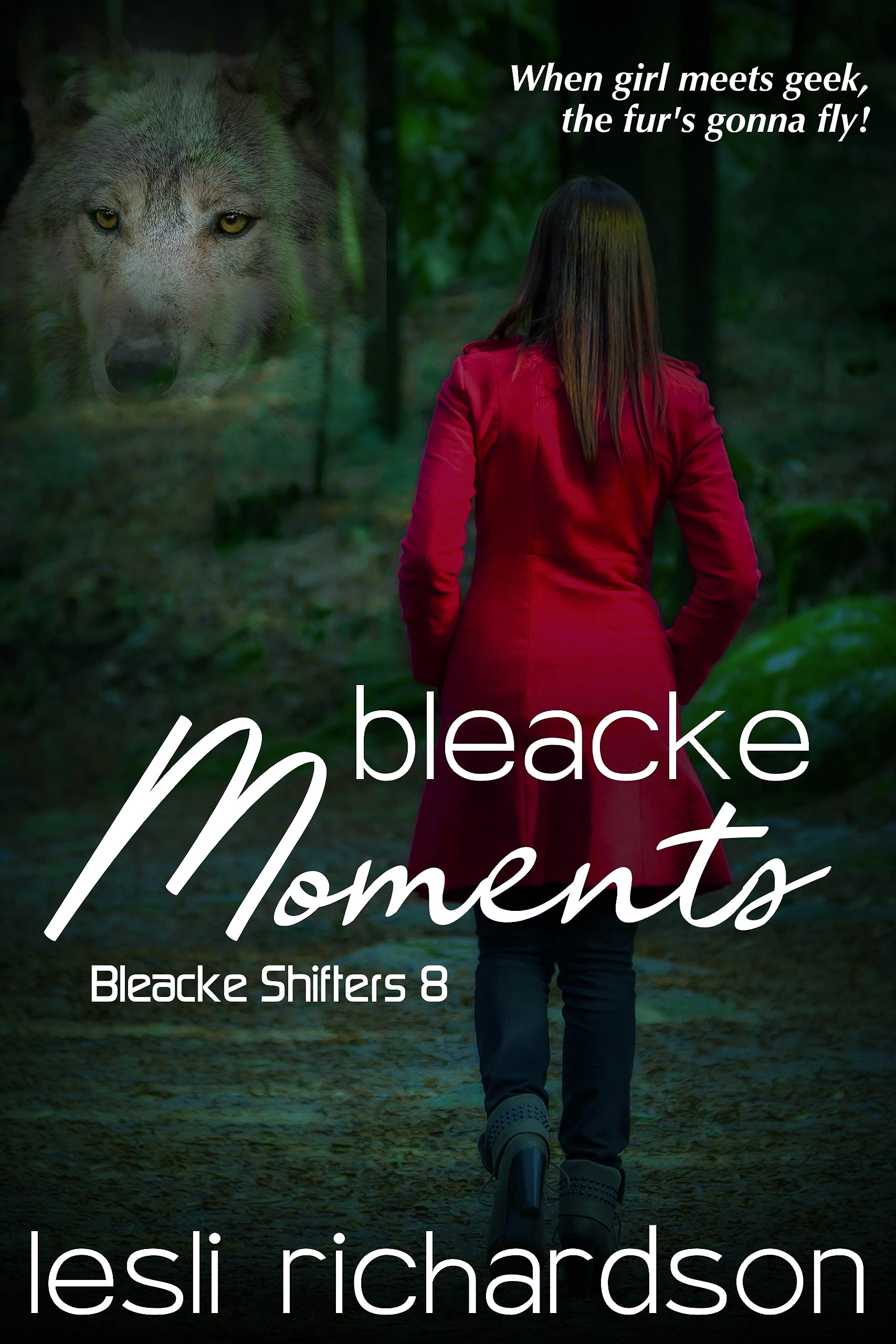 Bleacke Moments book cover
