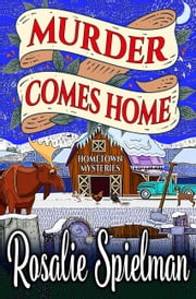 Hometown Mystery book cover 3