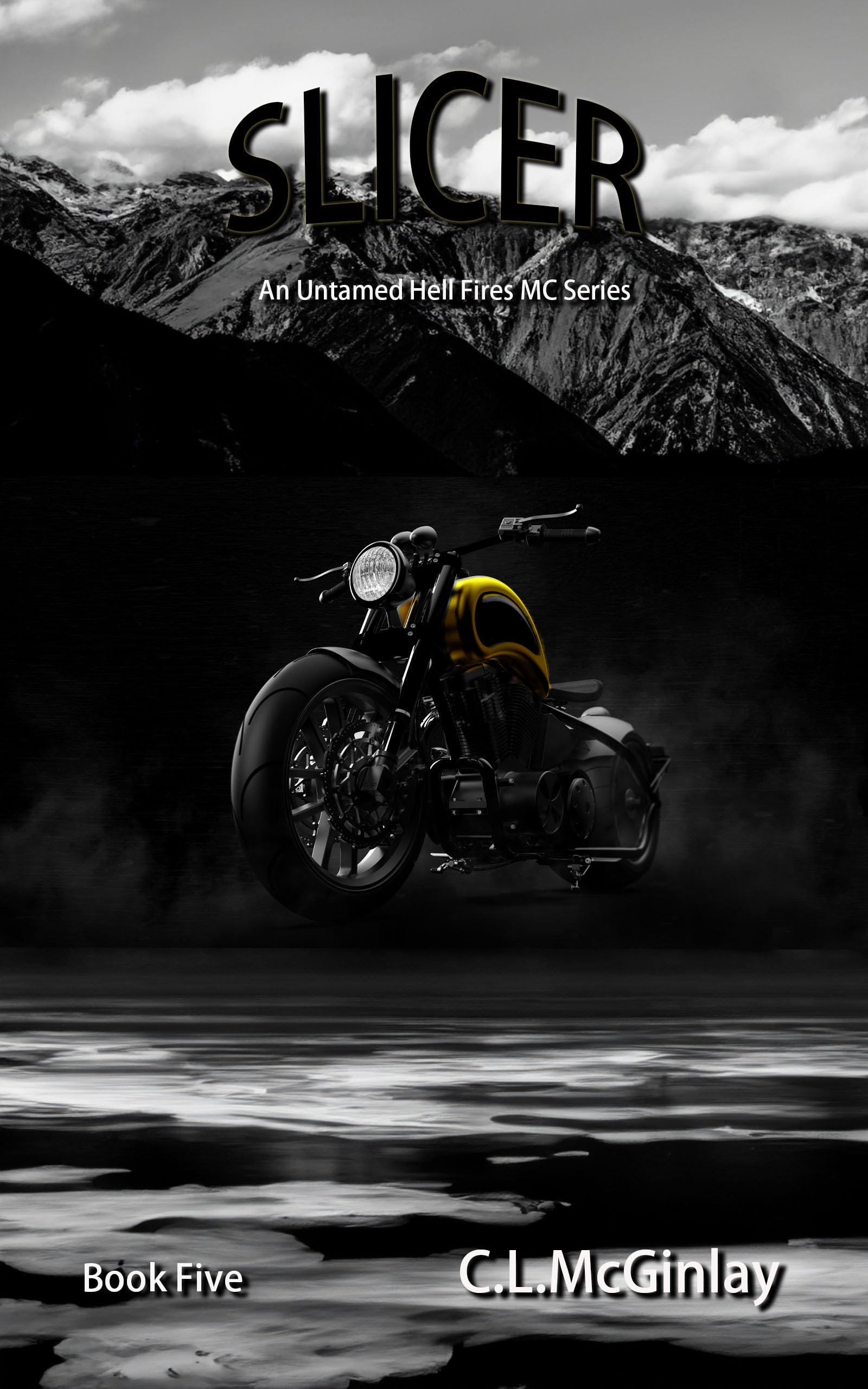 Slicer book cover