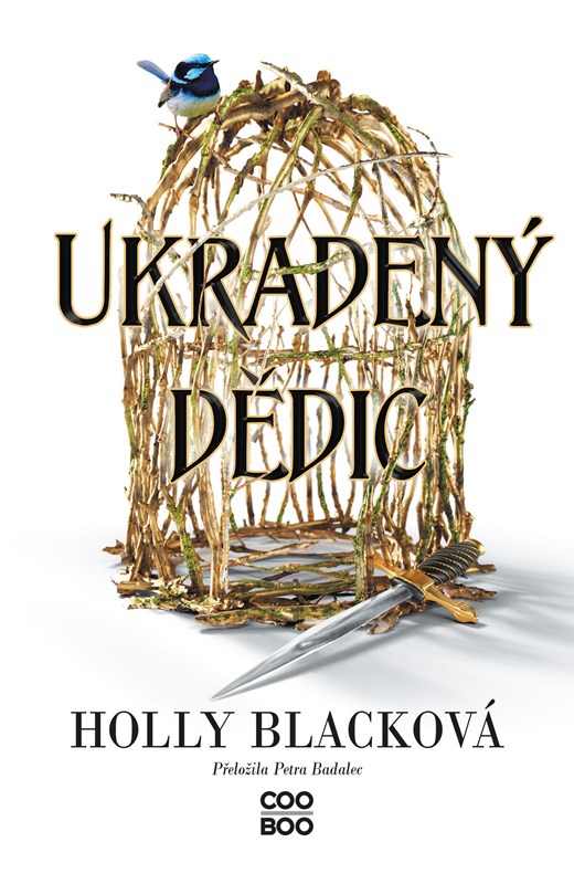 Ukradený dědic (Ukradený dědic, #1)