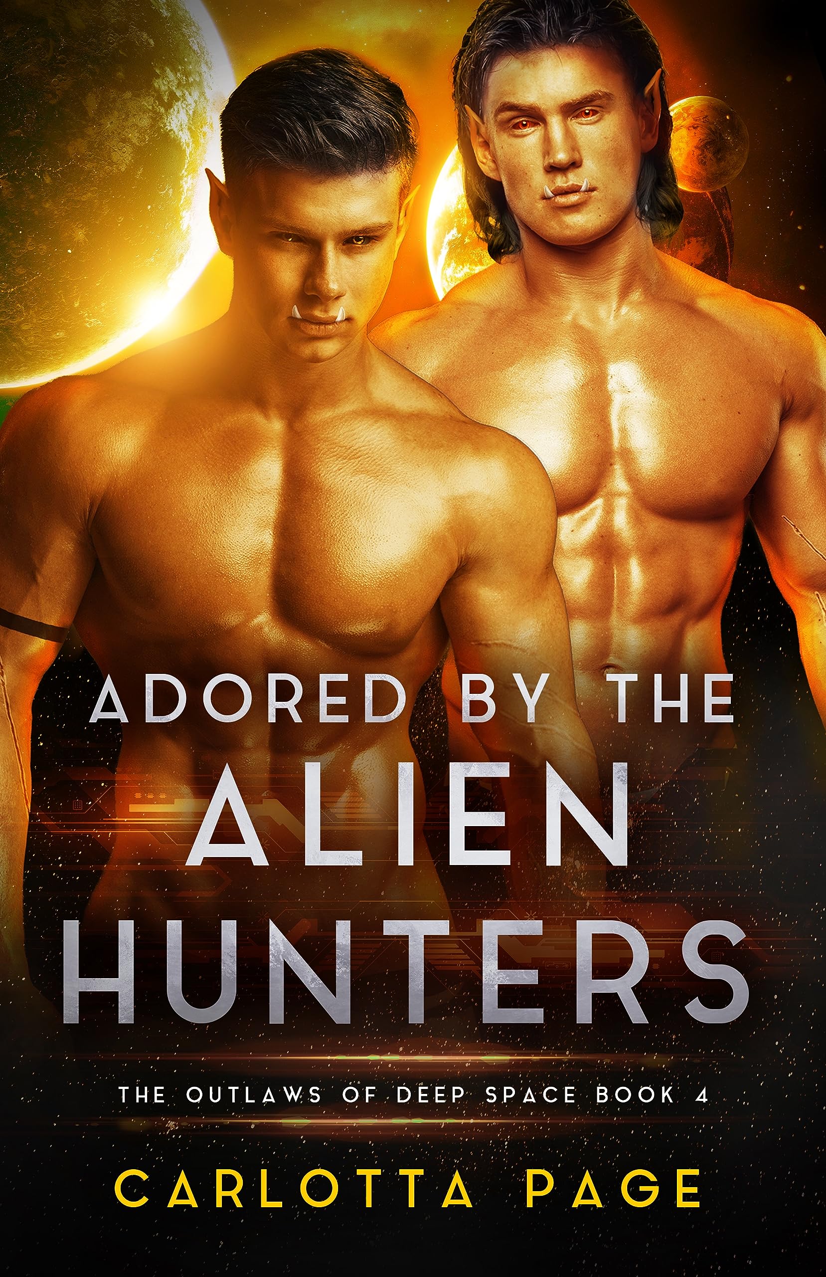 Adored by the Alien Hunters