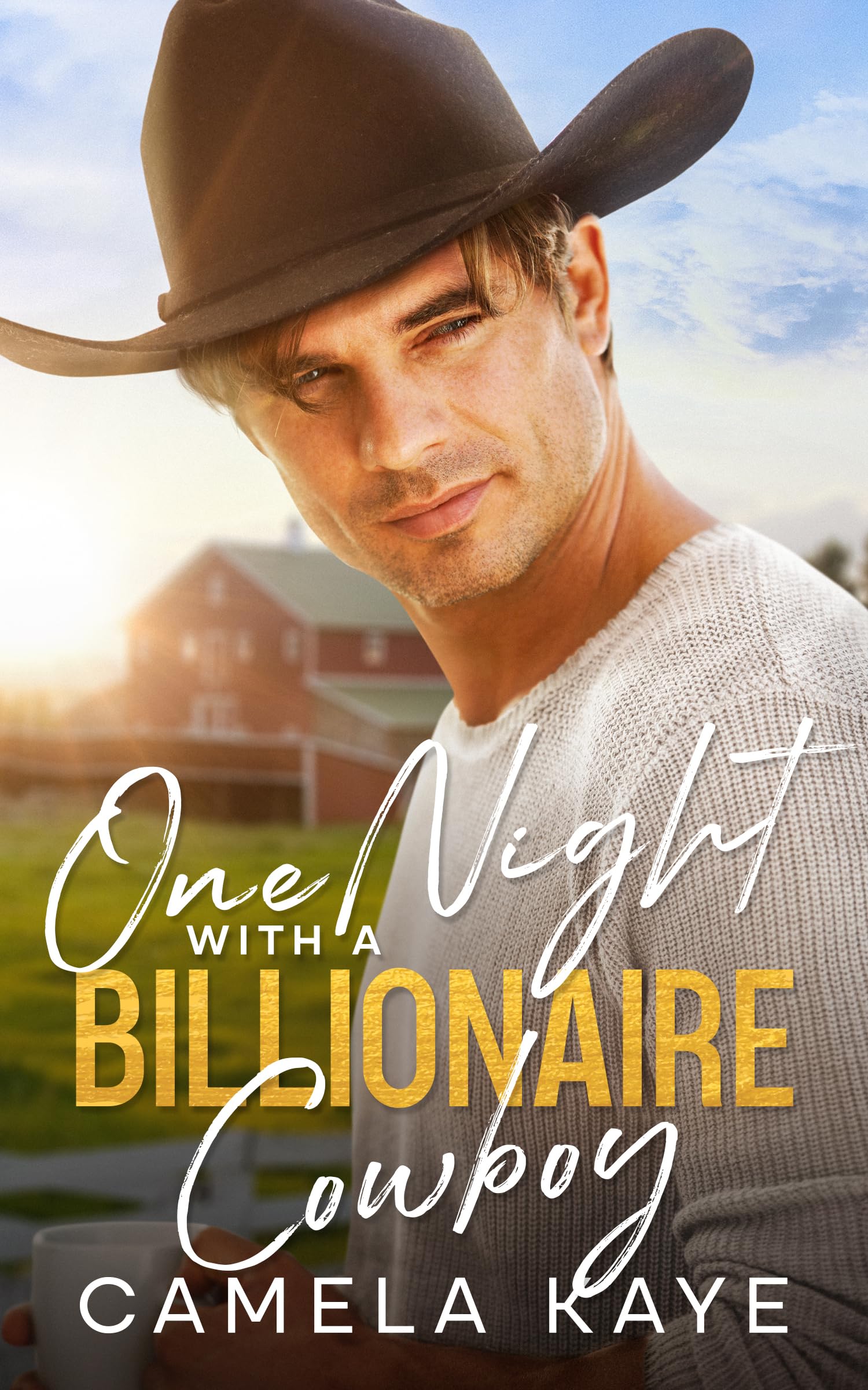One Night with a Billionaire Cowboy: A Small Town Romance