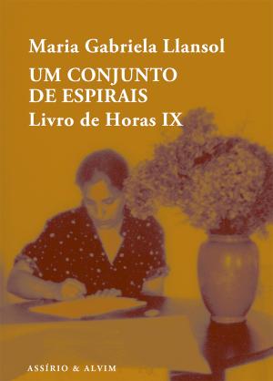 Um Conjunto de Espirais: Livro das Horas, IX
