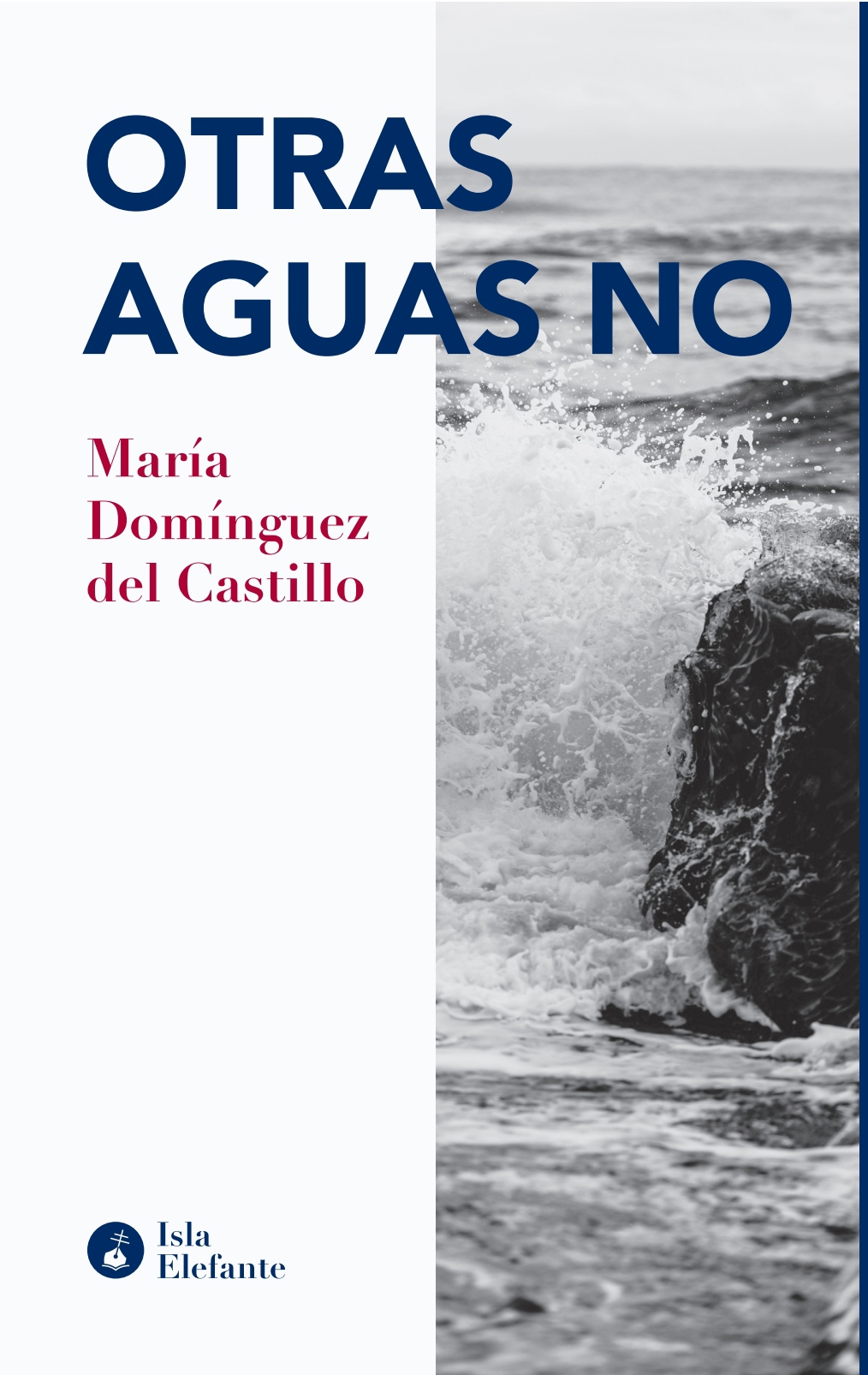 Otras aguas no book cover