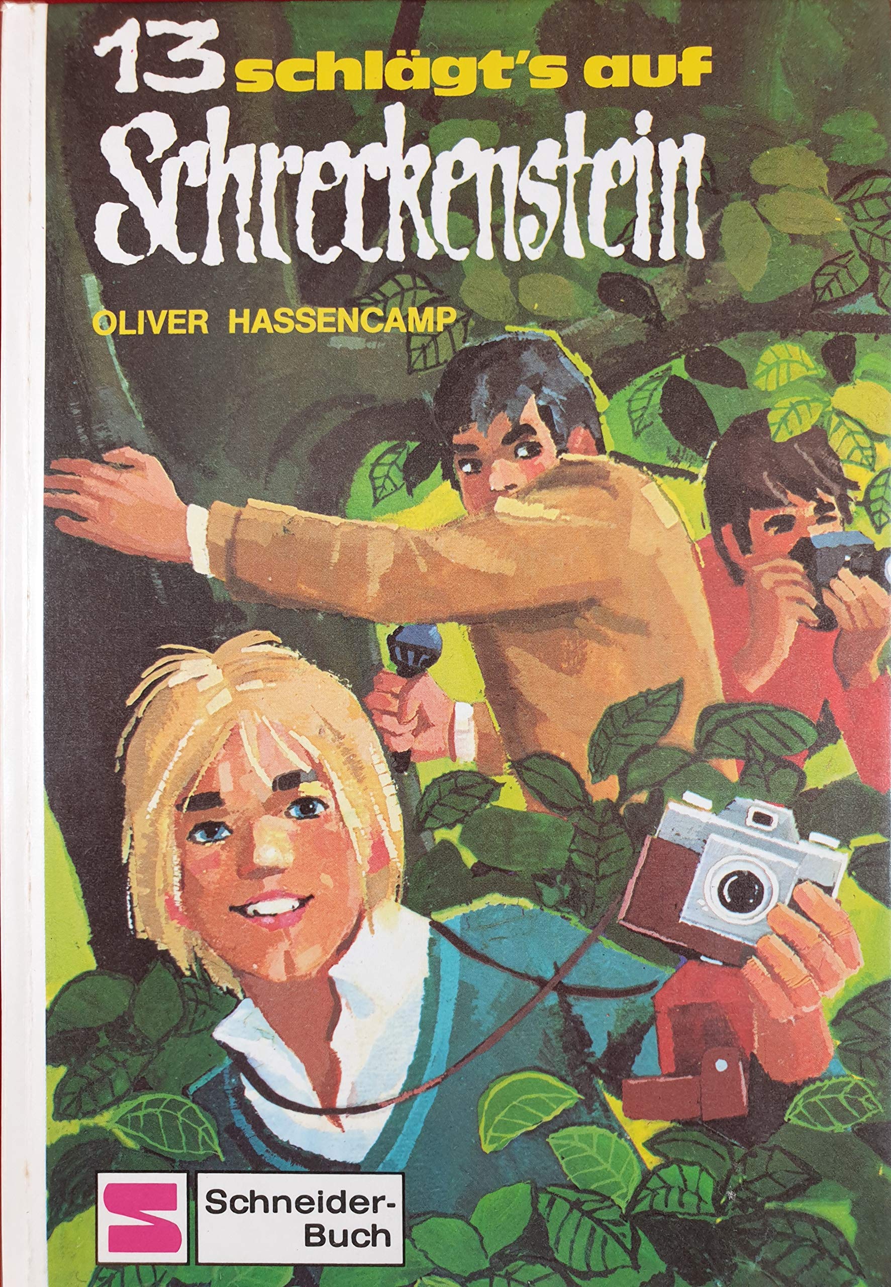 Dreizehn schlägt's auf Schreckenstein book cover
