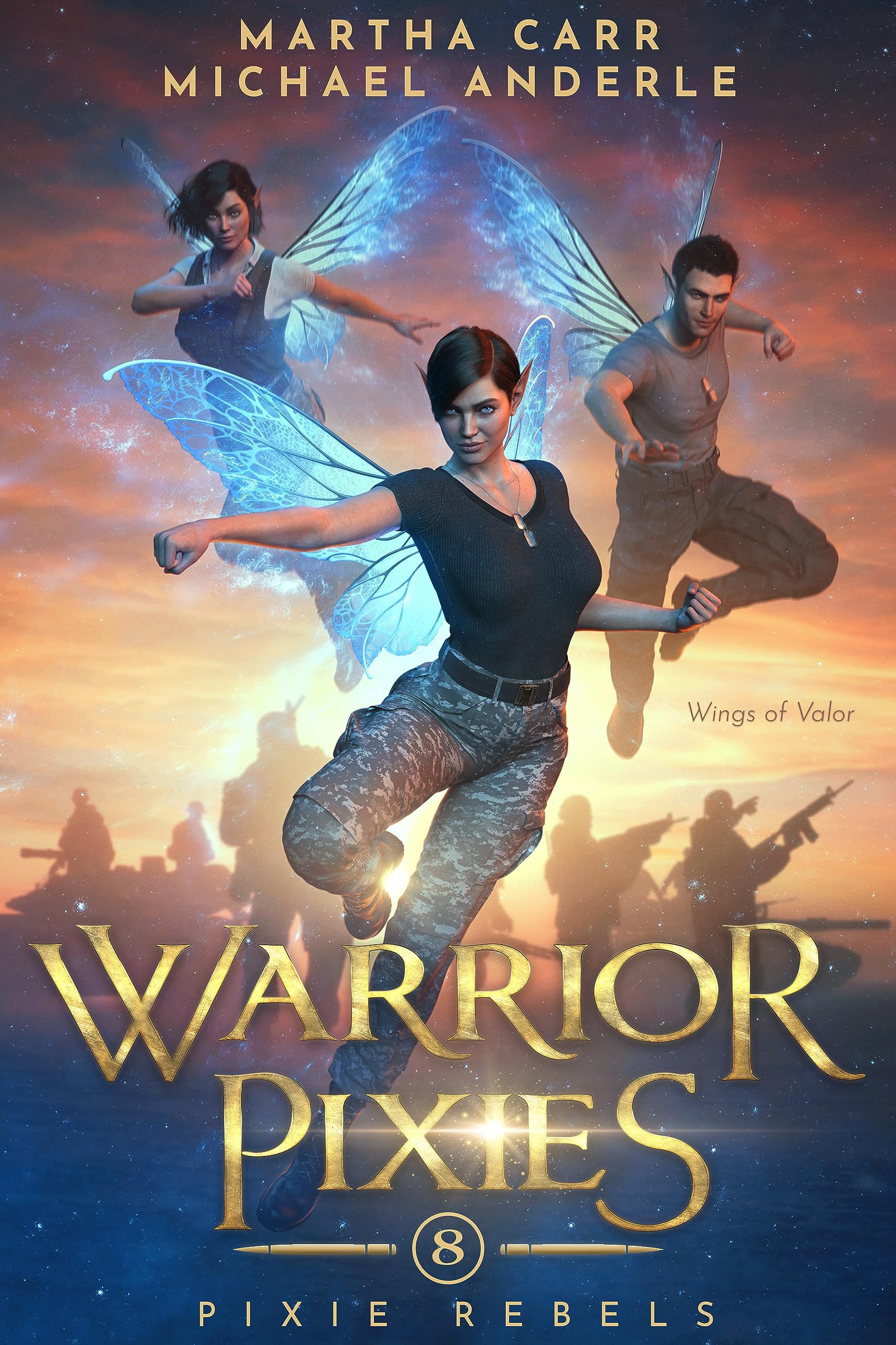 Warrior Pixies book cover