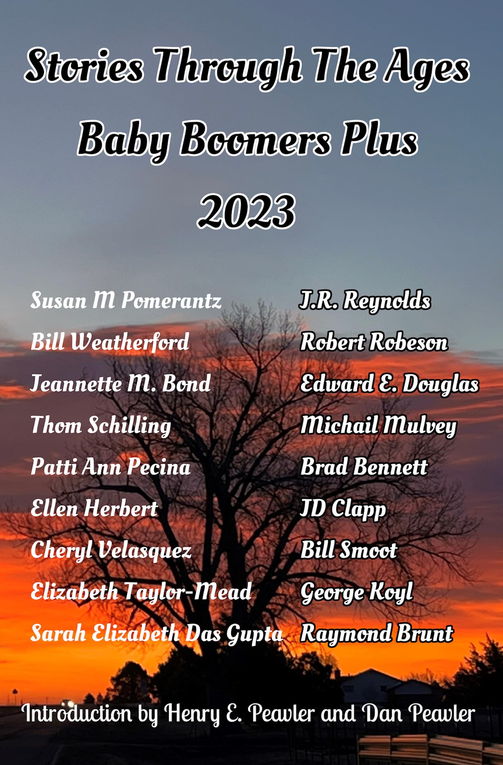Stories Through The Ages Baby Boomers Plus 2023 by Henry E. Peavler