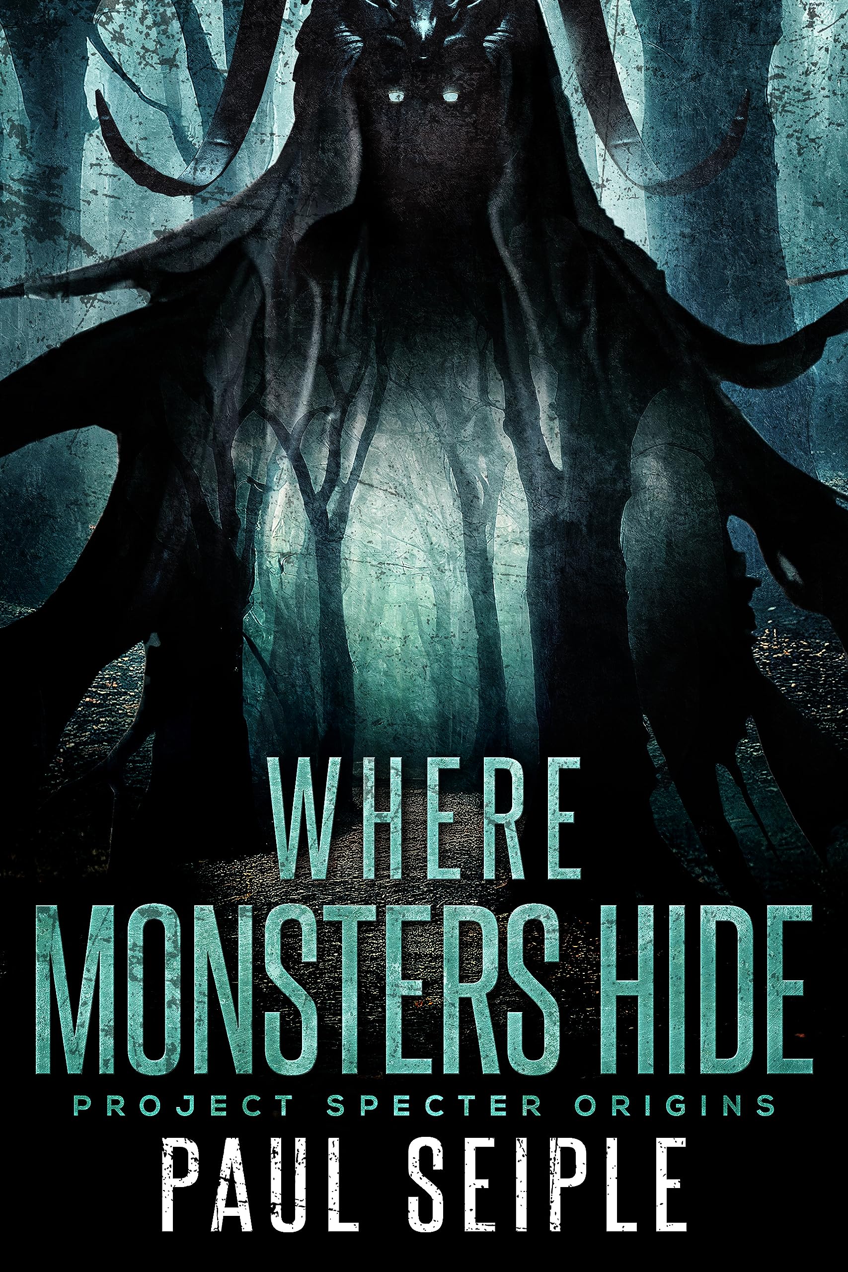 Where Monsters Hide book cover