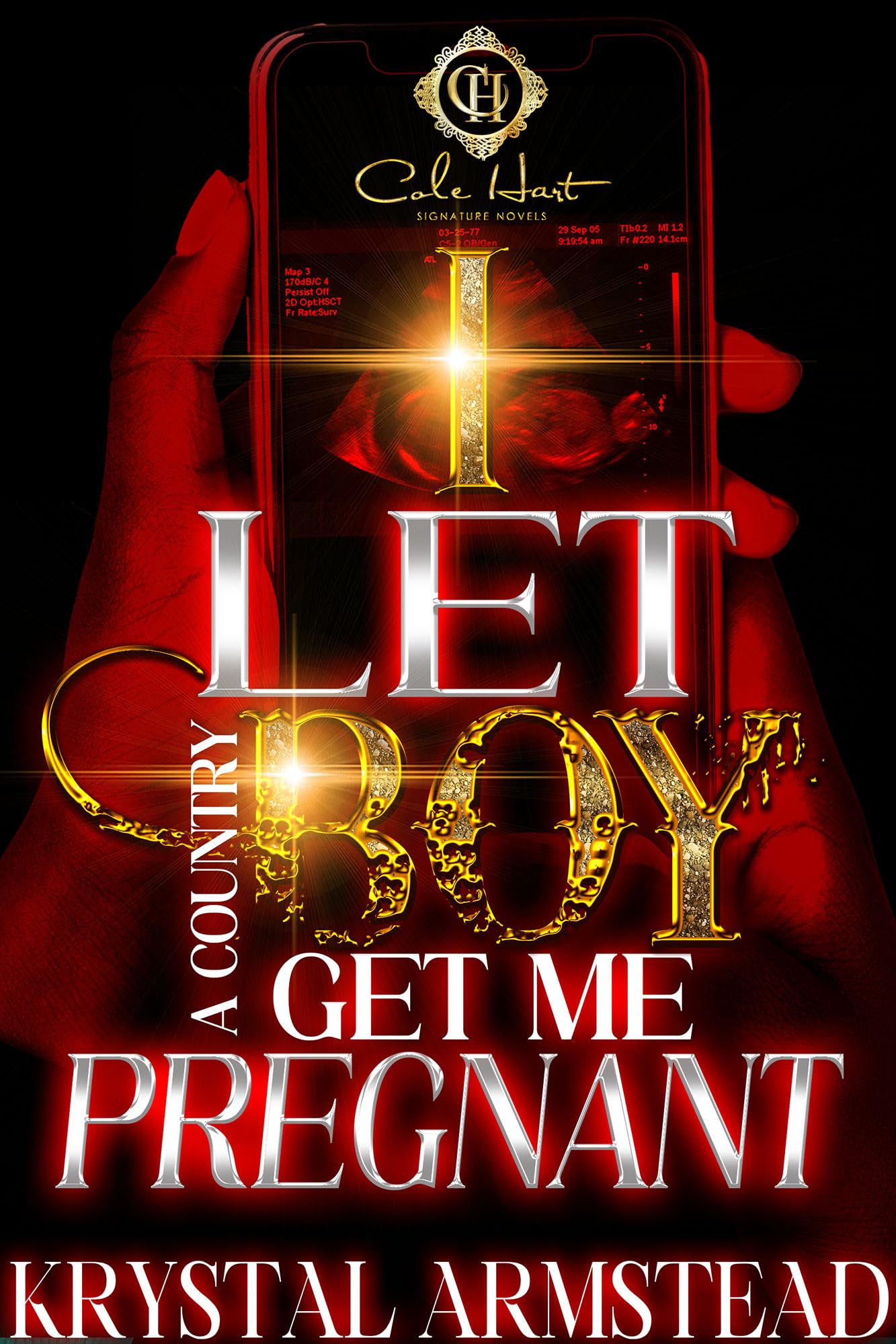 I Let A Country Boy Get Me Pregnant: An African American Romance