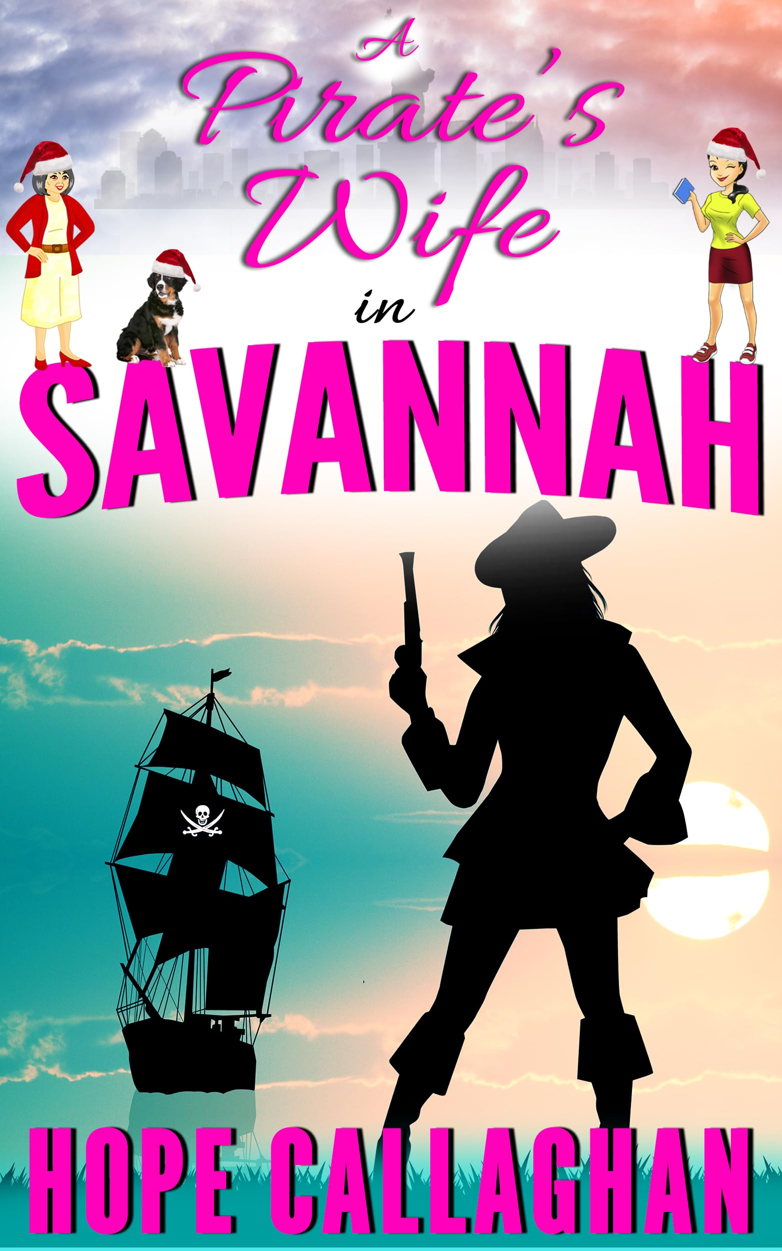A Pirate's Wife book cover
