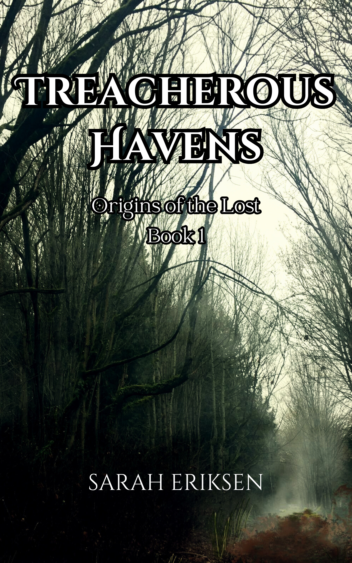 Treacherous Havens