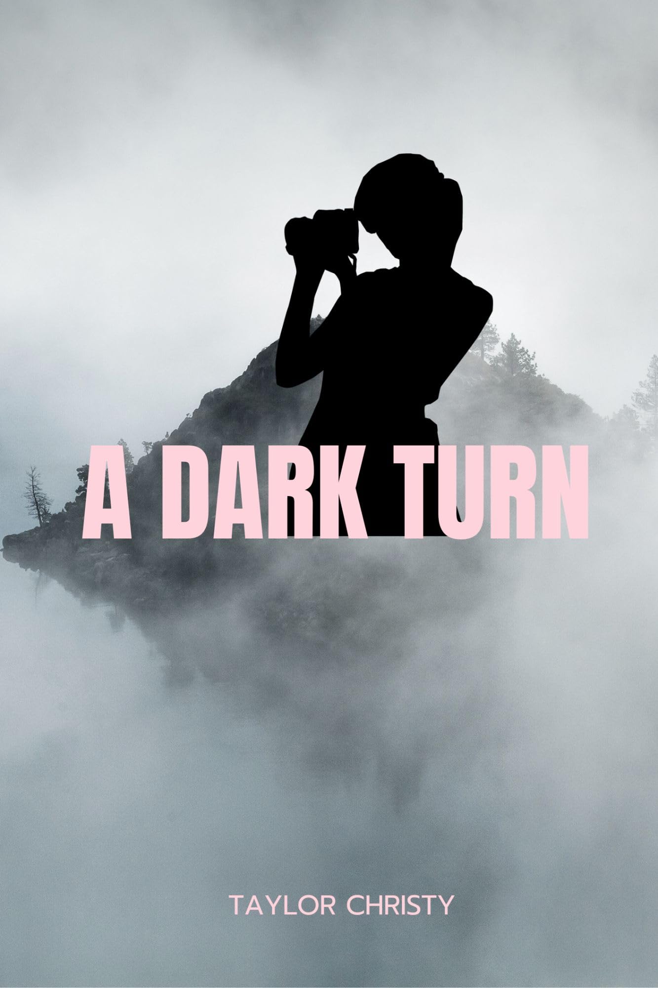 A Dark Turn by Taylor Christy Goodreads(02)