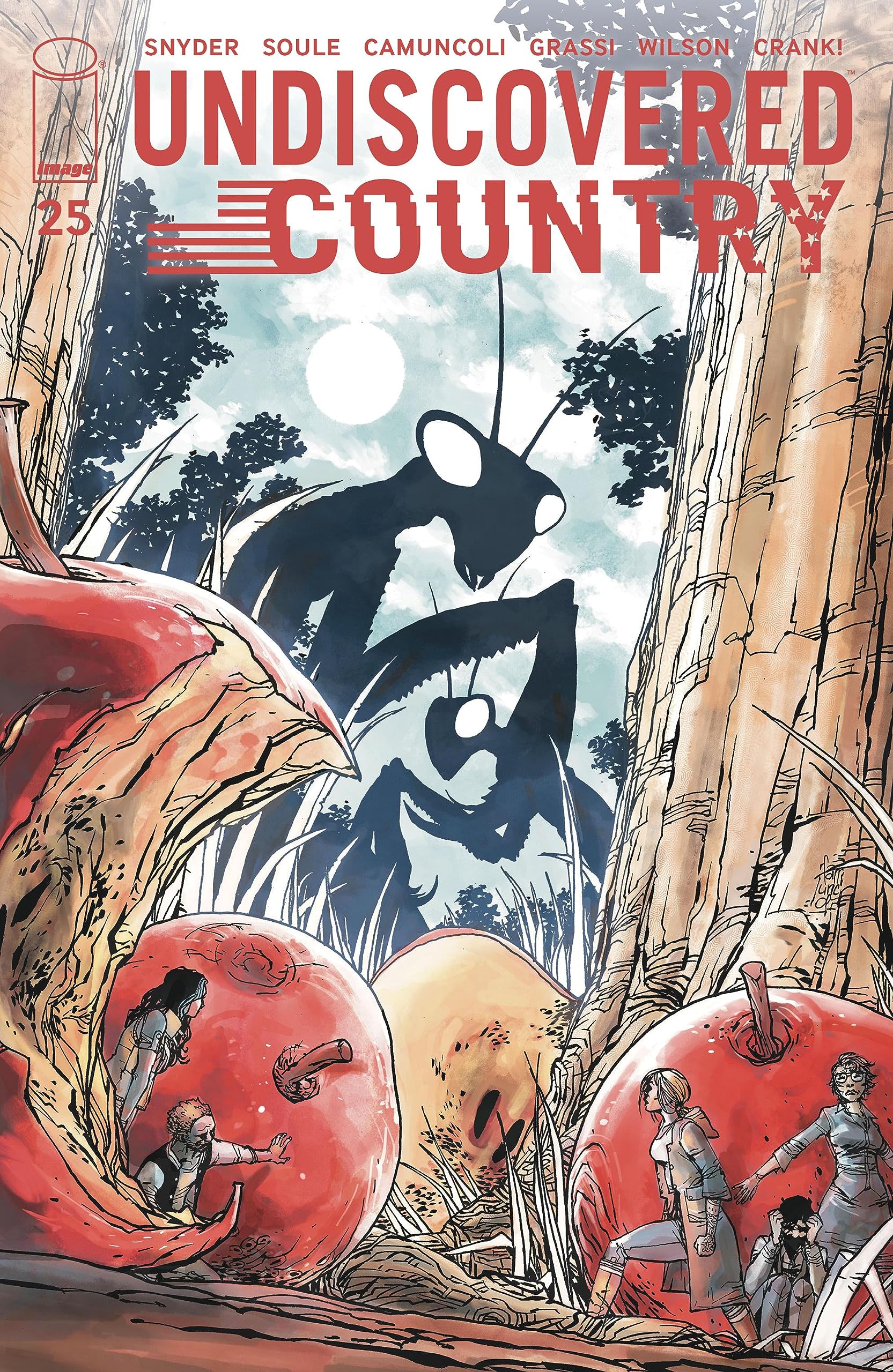Undiscovered Country #25 book cover