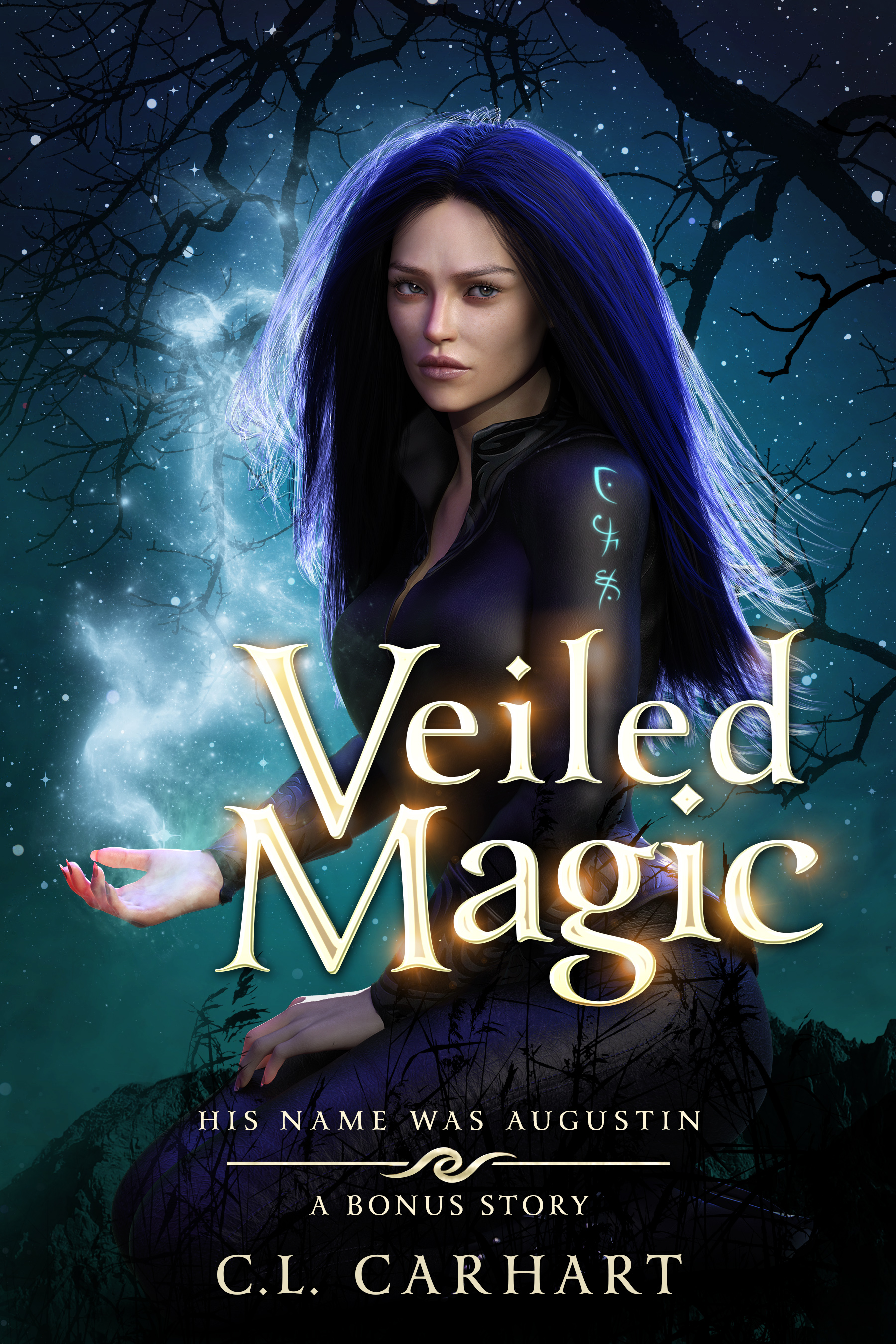 Veiled Magic book cover