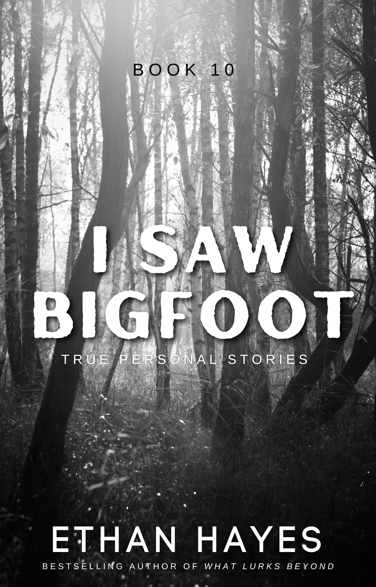 I Saw Bigfoot: Book 10