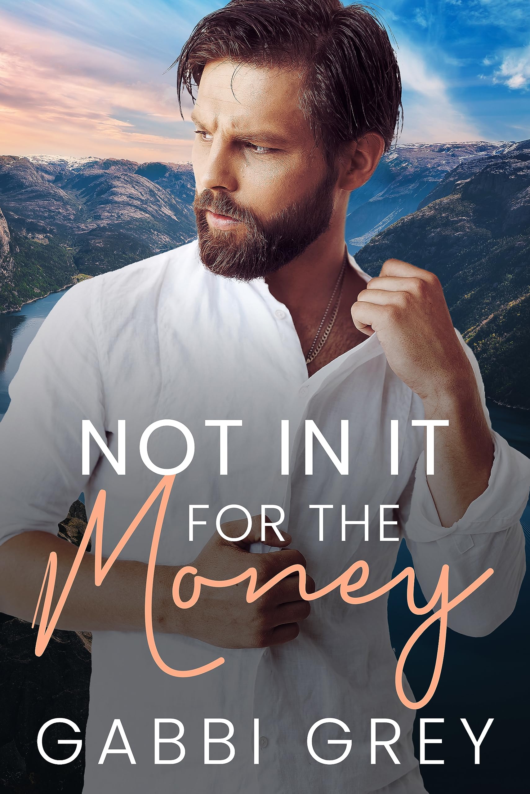 Not in It for the Money book cover