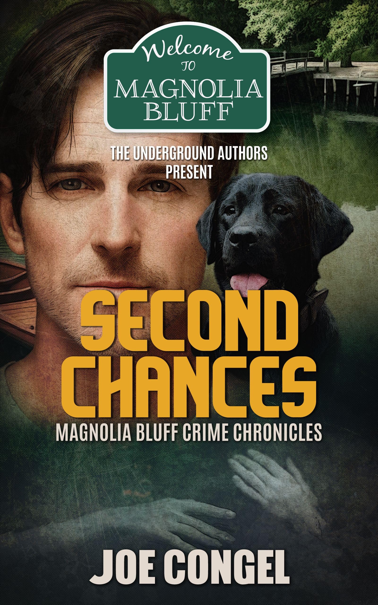 Second Chances: Magnolia Bluff Crime Chronicles, Book 17