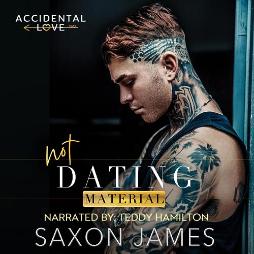 Not Dating Material (Accidental Love, #2)