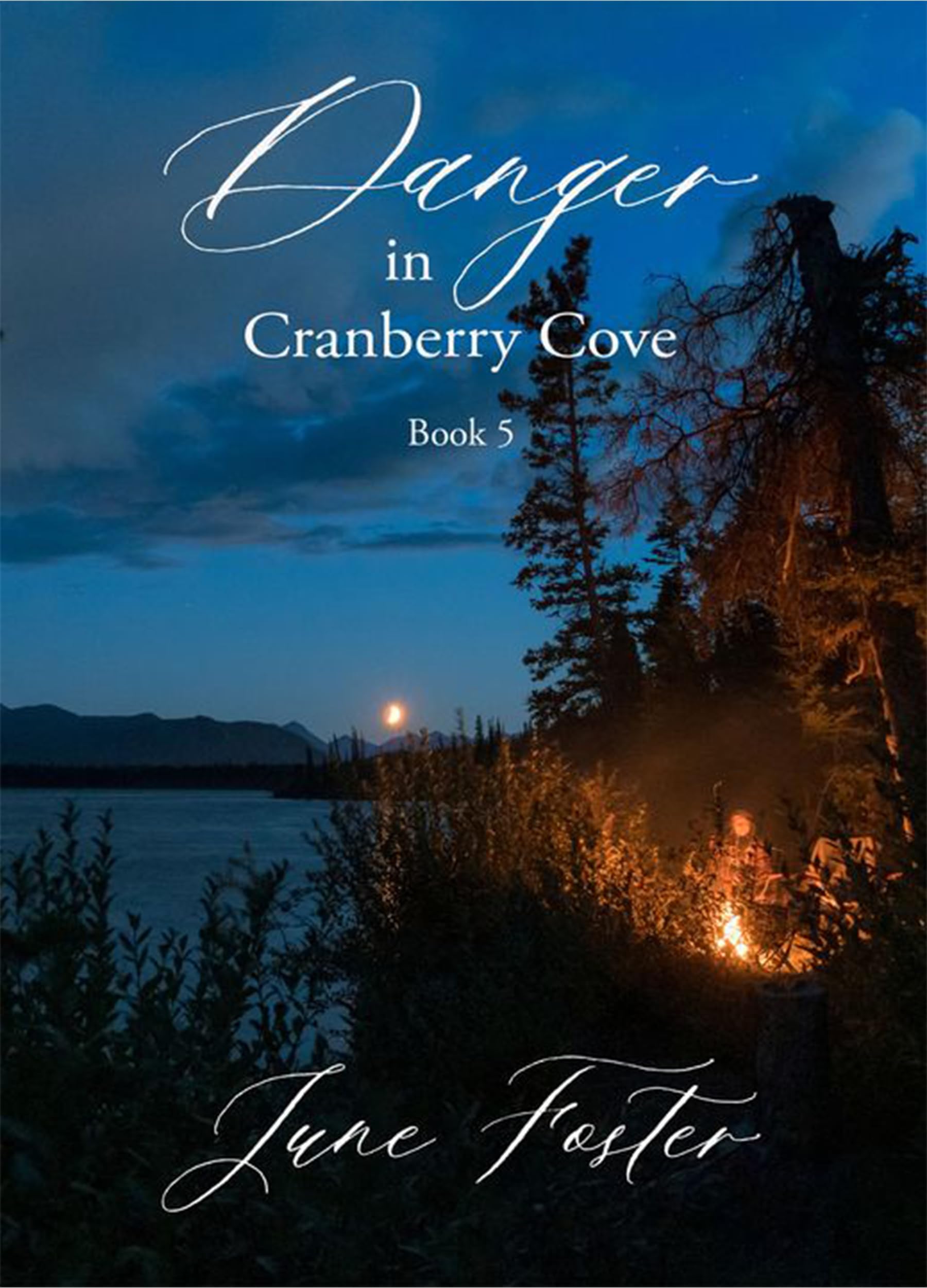 Danger in Cranberry Cove book cover