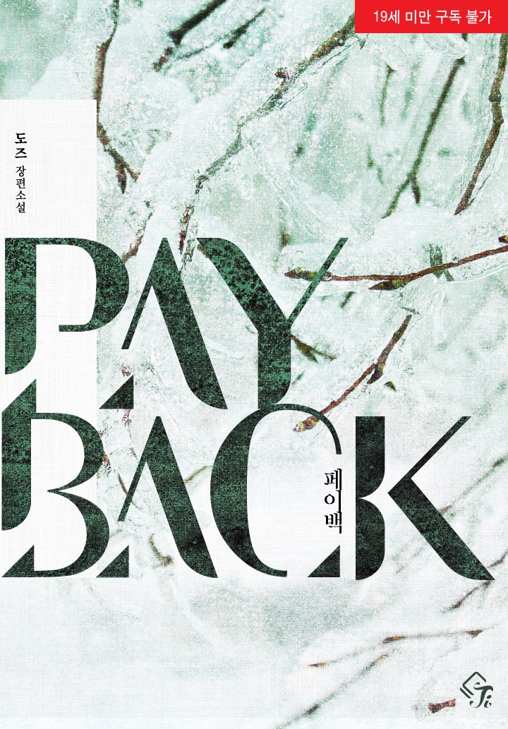 페이백 (Payback)