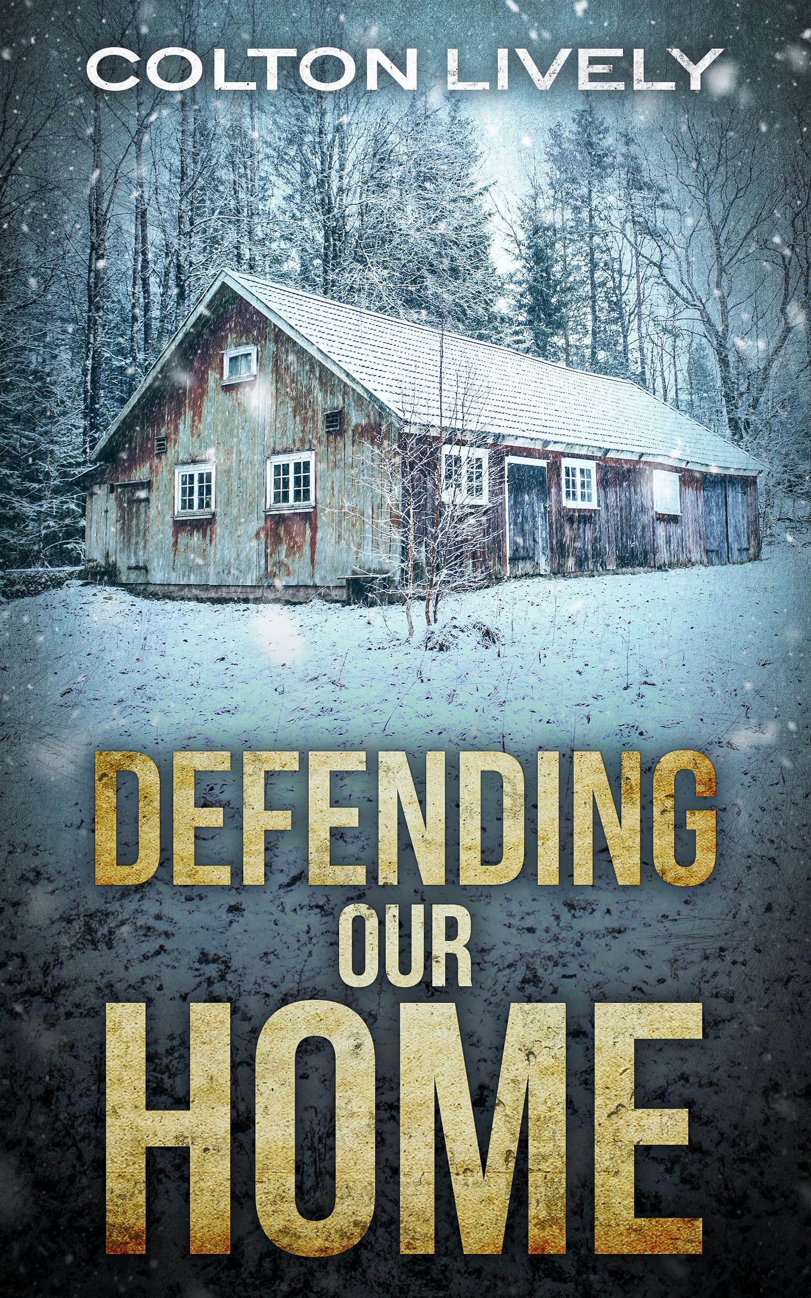 Defending Our Home: A Small Town Post Apocalypse EMP Thriller Boxset